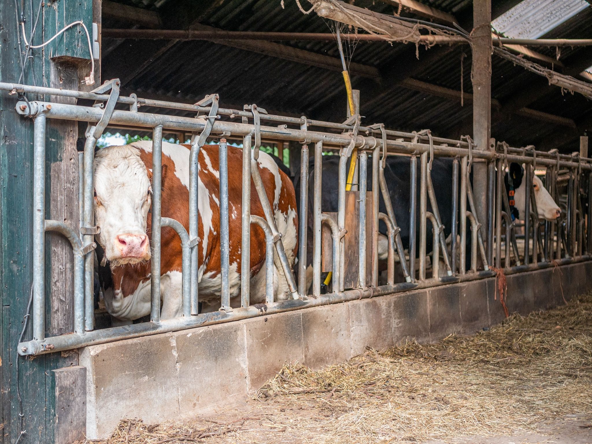 Parkfaciliteiten bij Kotman's spieker 6 persoons in Enschede