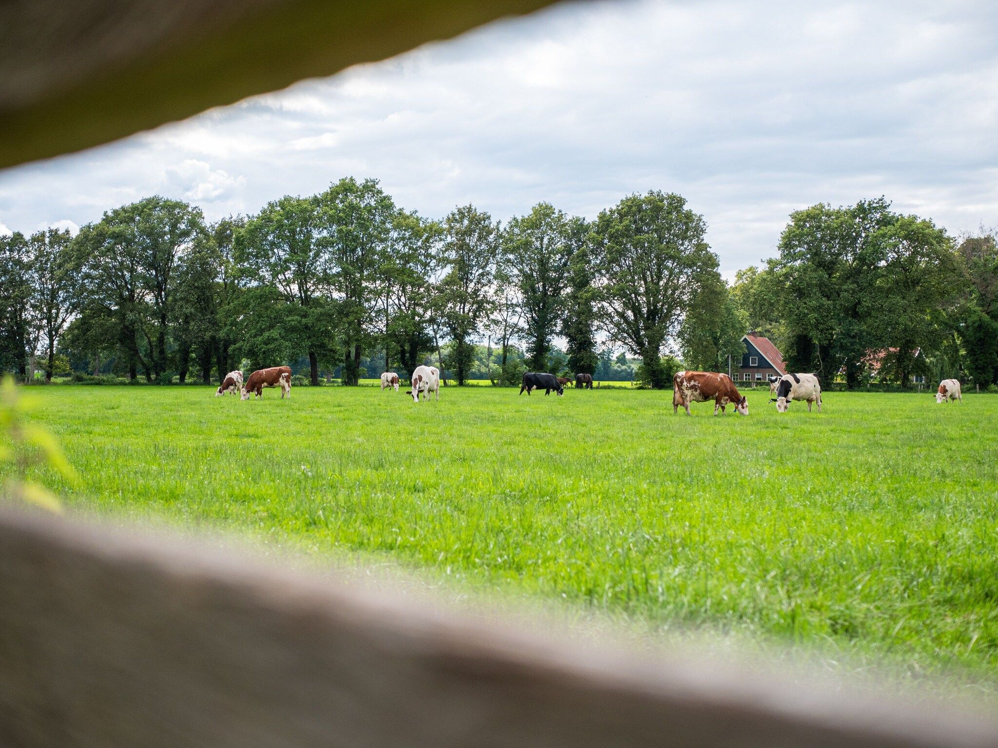 Sfeerbeeld van Kotman's spieker 6 persoons in Enschede