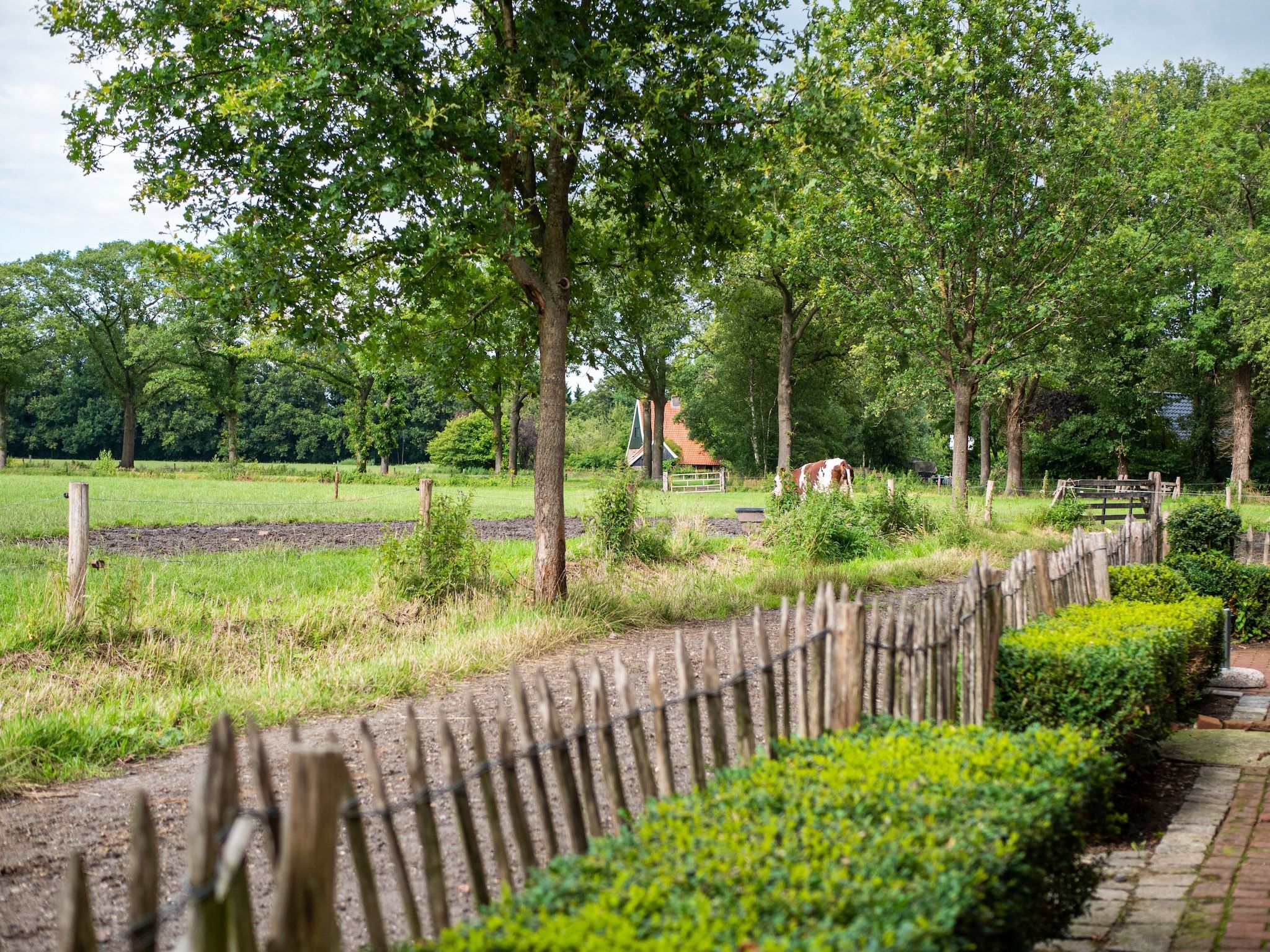 Het uitzicht vanaf Kotman's spieker 6 persoons in Enschede