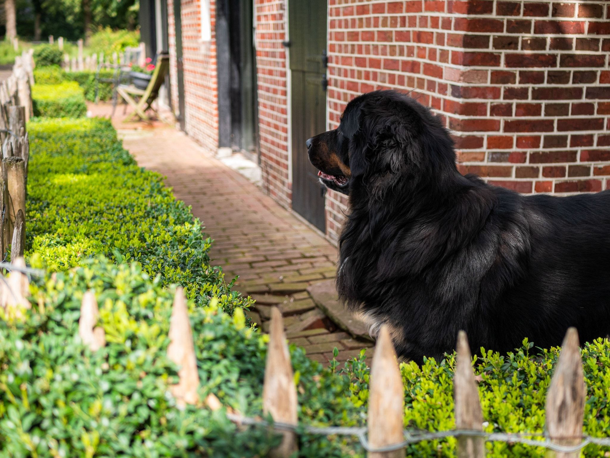 Sfeerbeeld van Kotman's spieker 6 persoons in Enschede
