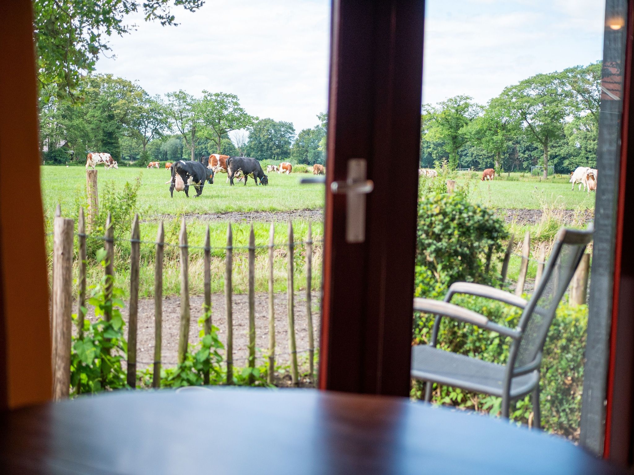 Het uitzicht vanaf Kotman's spieker 6 persoons in Enschede