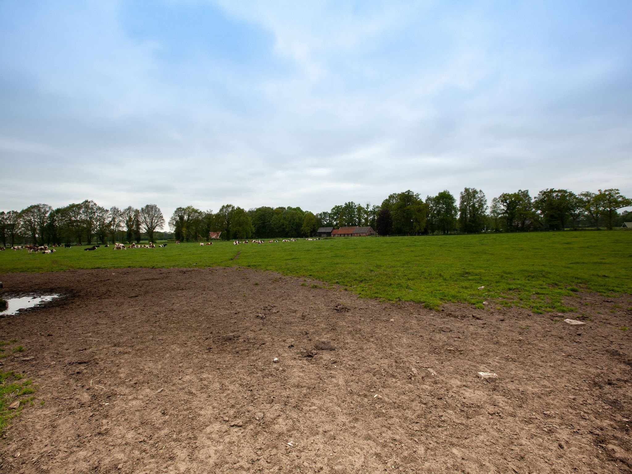 De omgeving van Kotman's spieker 12 persoons in Enschede