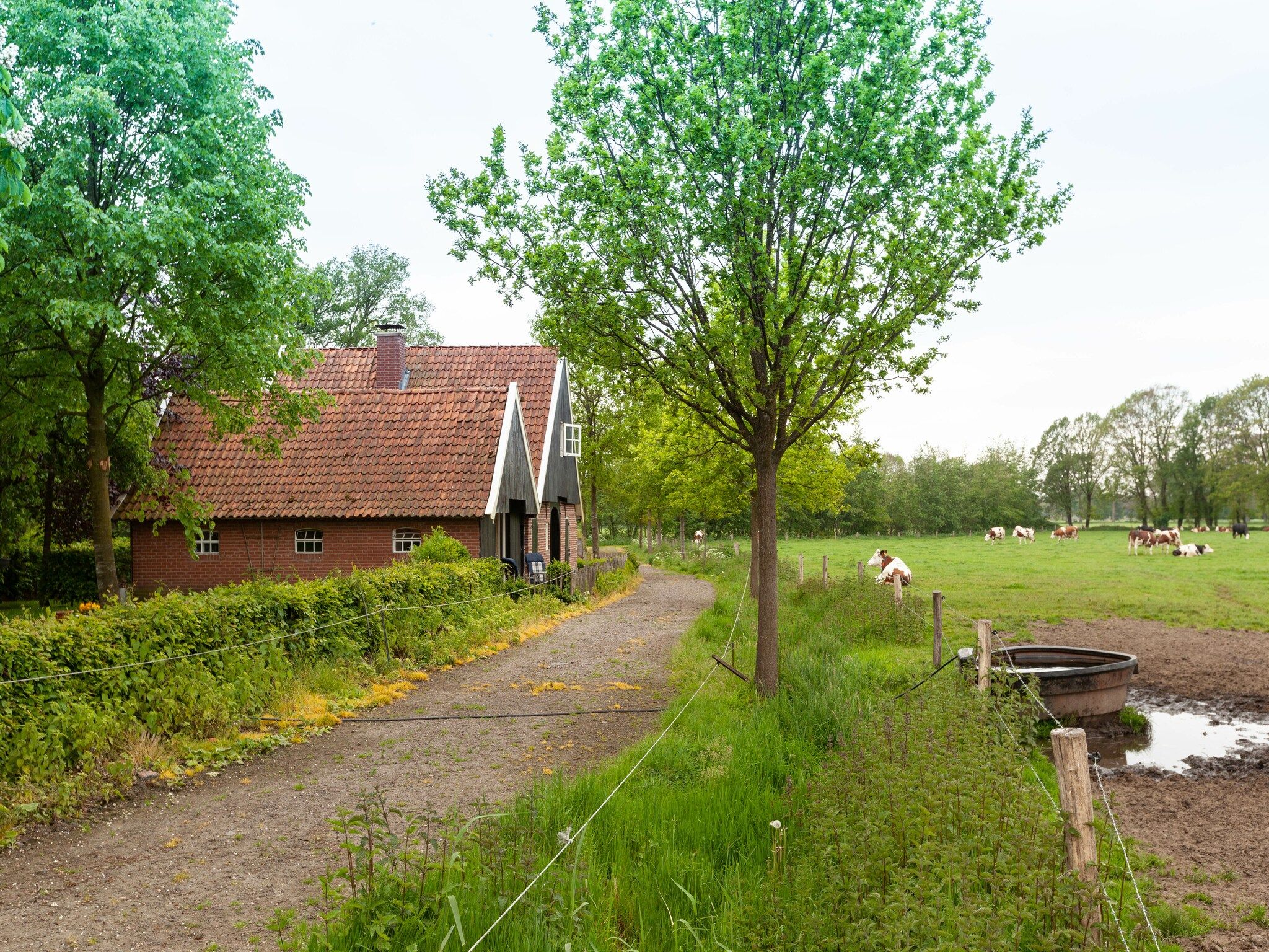 De tuin van Kotman's spieker 12 persoons in Enschede