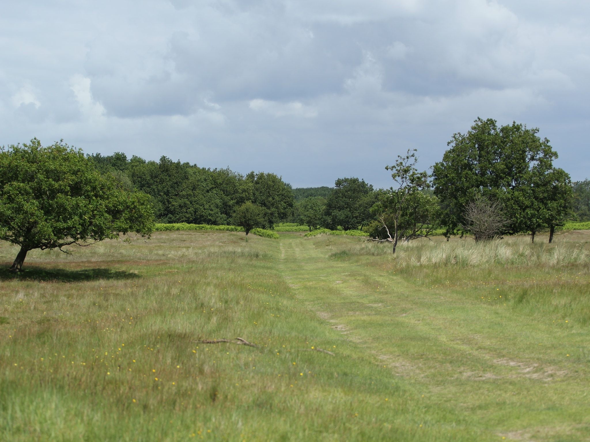 Vakantiepark Duinrust 1 in Noordwijk aan zee - Foto 32 van 42