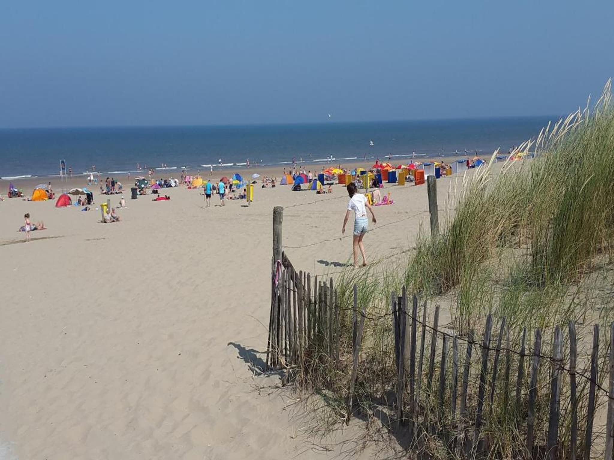 Vakantiepark Duinrust 1 in Noordwijk aan zee - Foto 39 van 42