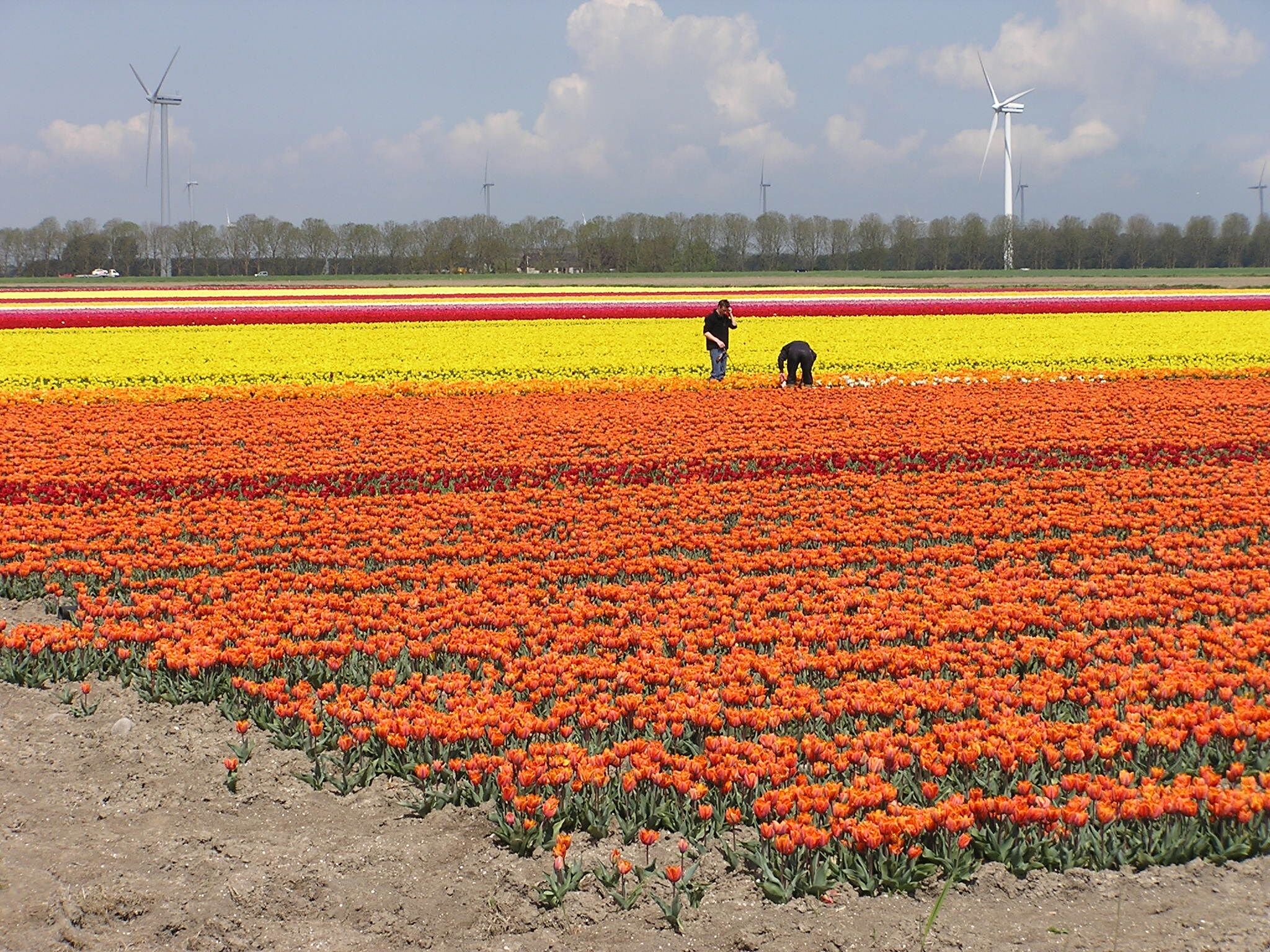Flevohuis in Biddinghuizen - Foto 30 van 33