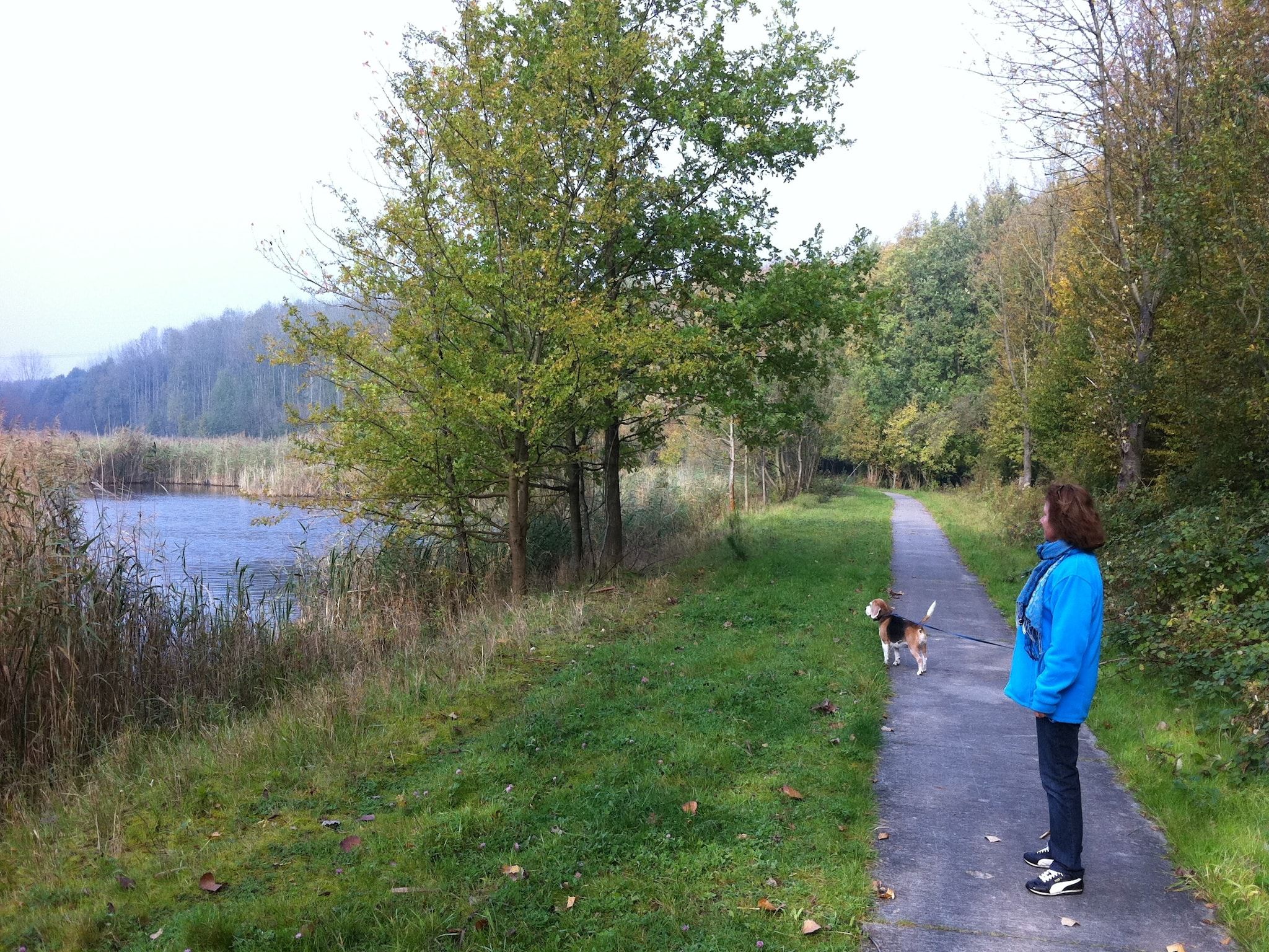 Flevohuis in Biddinghuizen - Foto 29 van 33