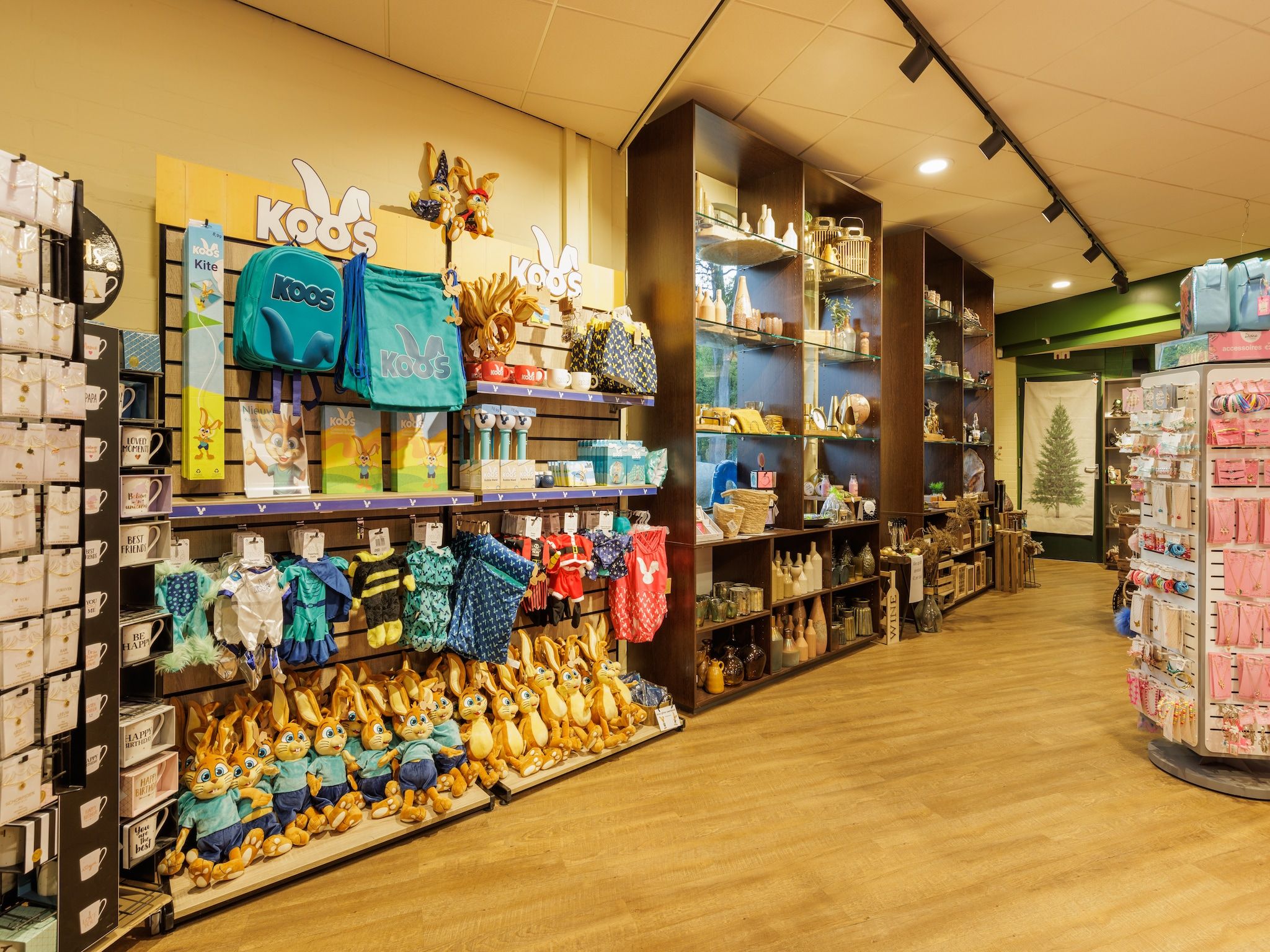 Parkfaciliteiten bij Vakantiepark Hunzedal 4 in Borger