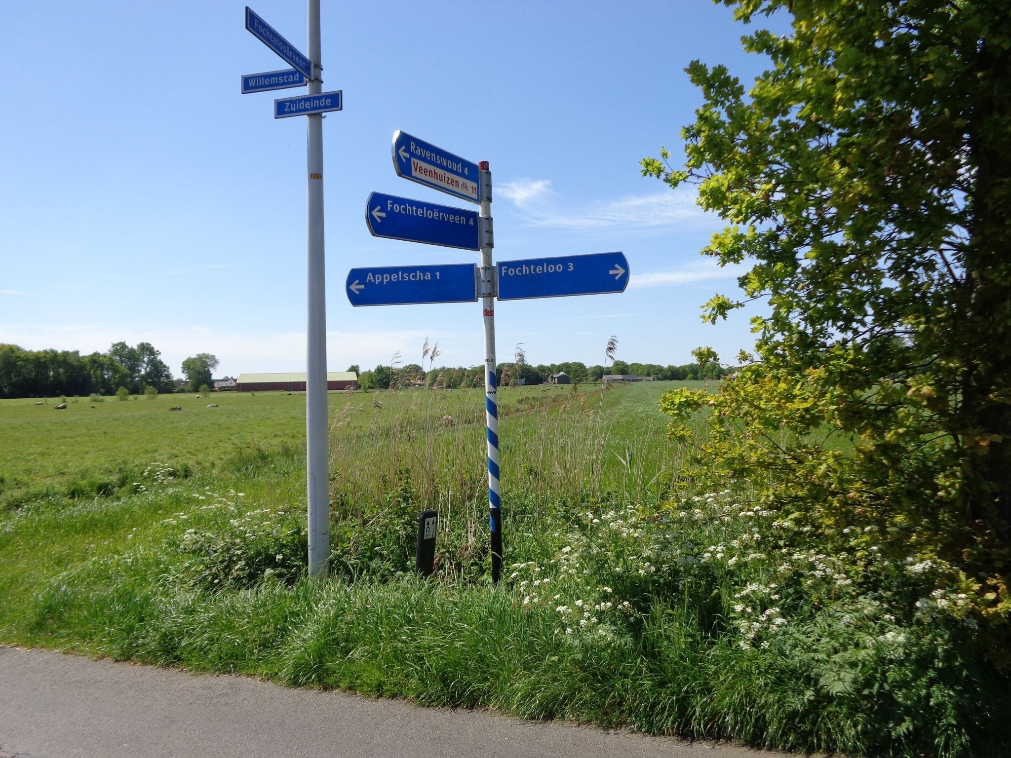 Singelhoeve in Fochteloo - Foto 18 van 40