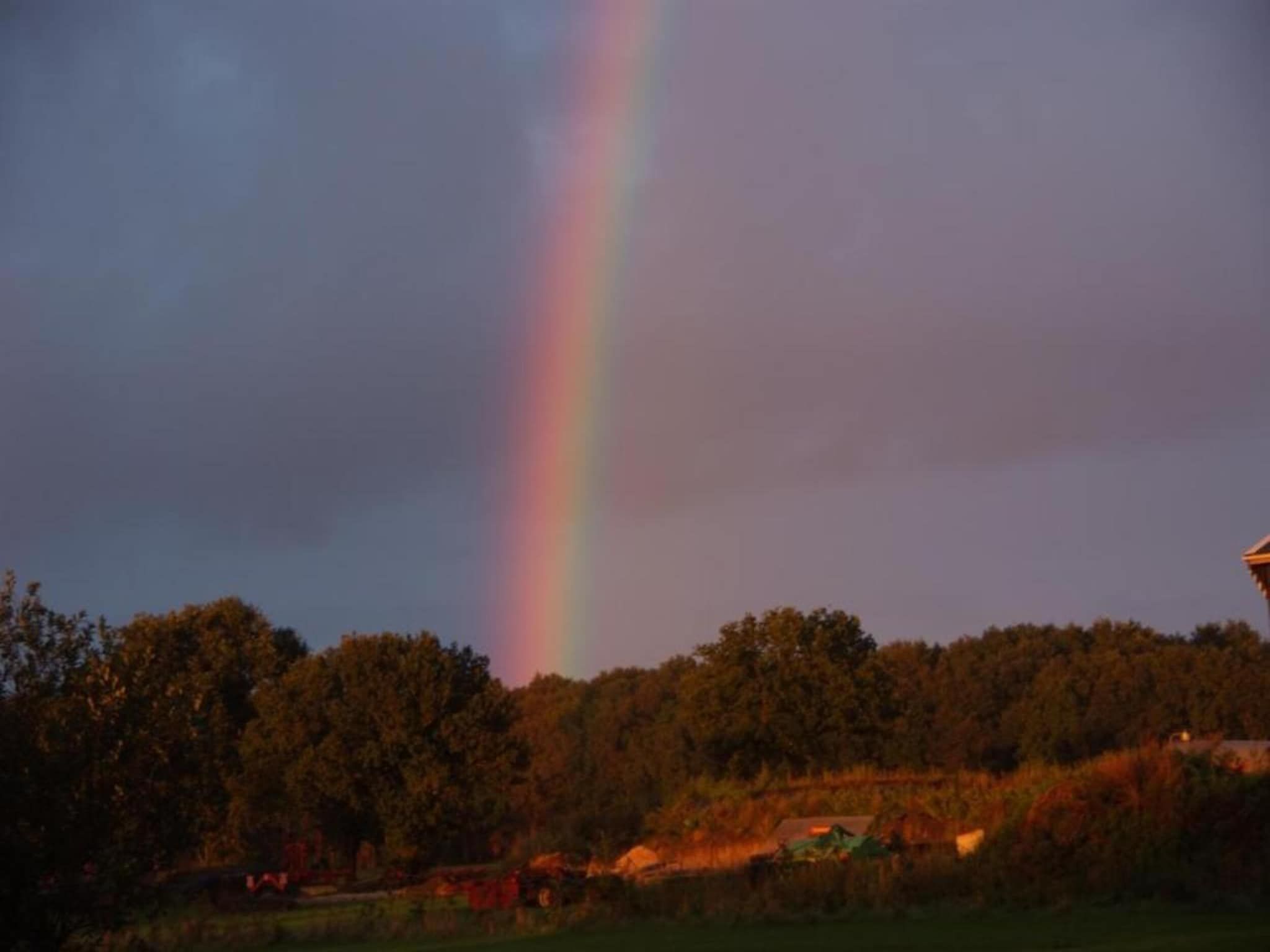 Singelhoeve in Fochteloo - Foto 27 van 40