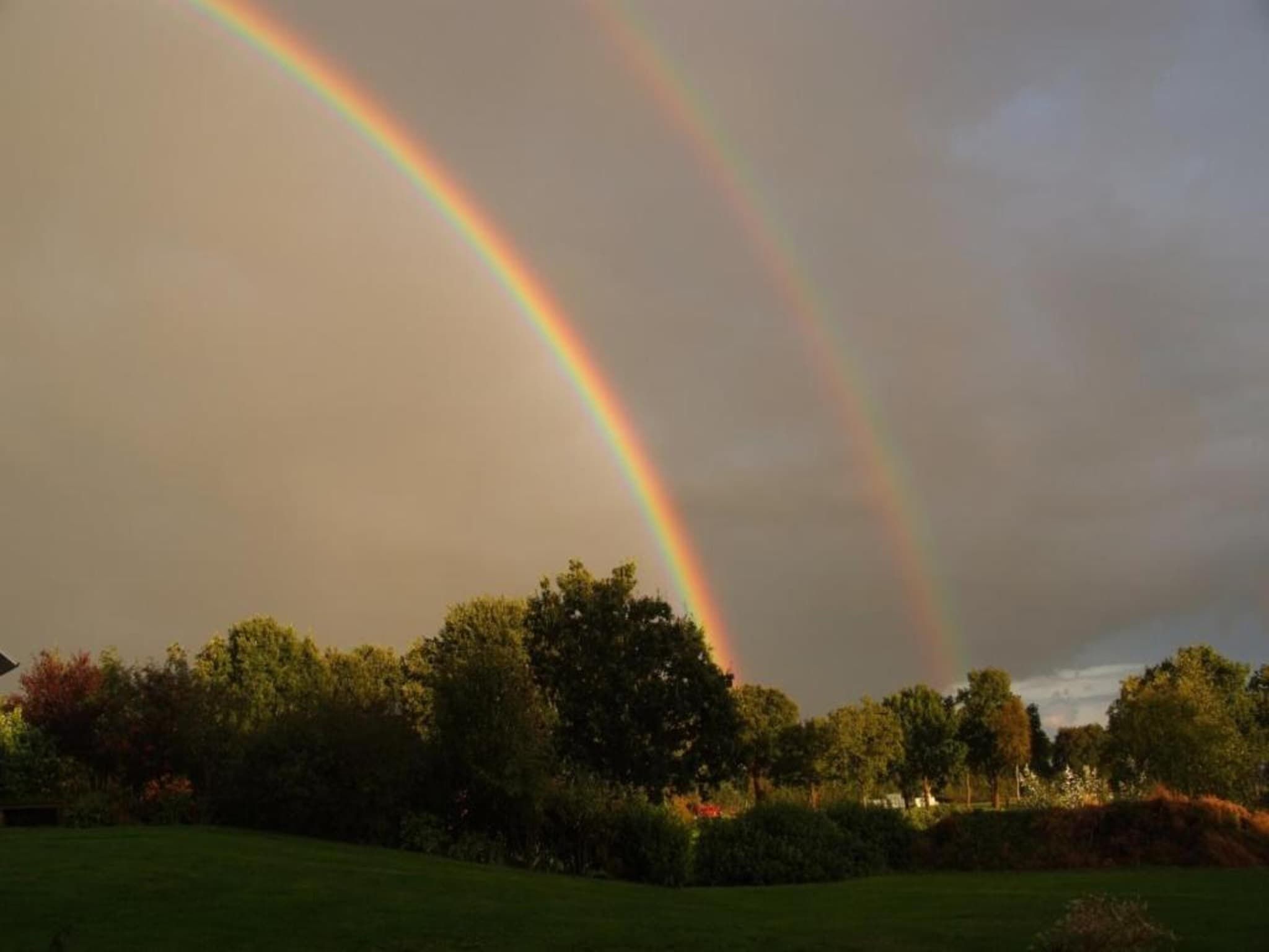 Singelhoeve in Fochteloo - Foto 28 van 40