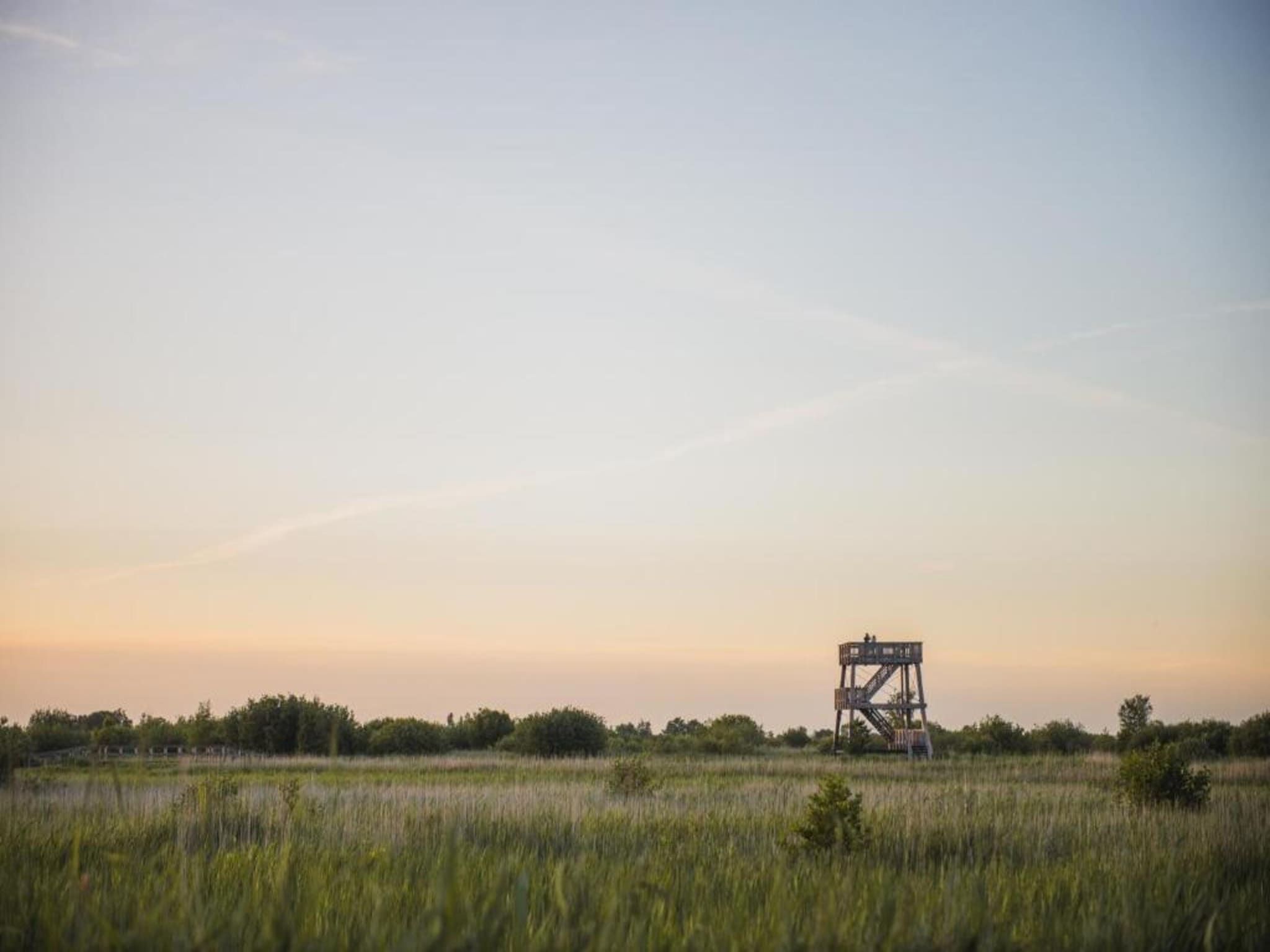 Singelhoeve in Fochteloo - Foto 24 van 40