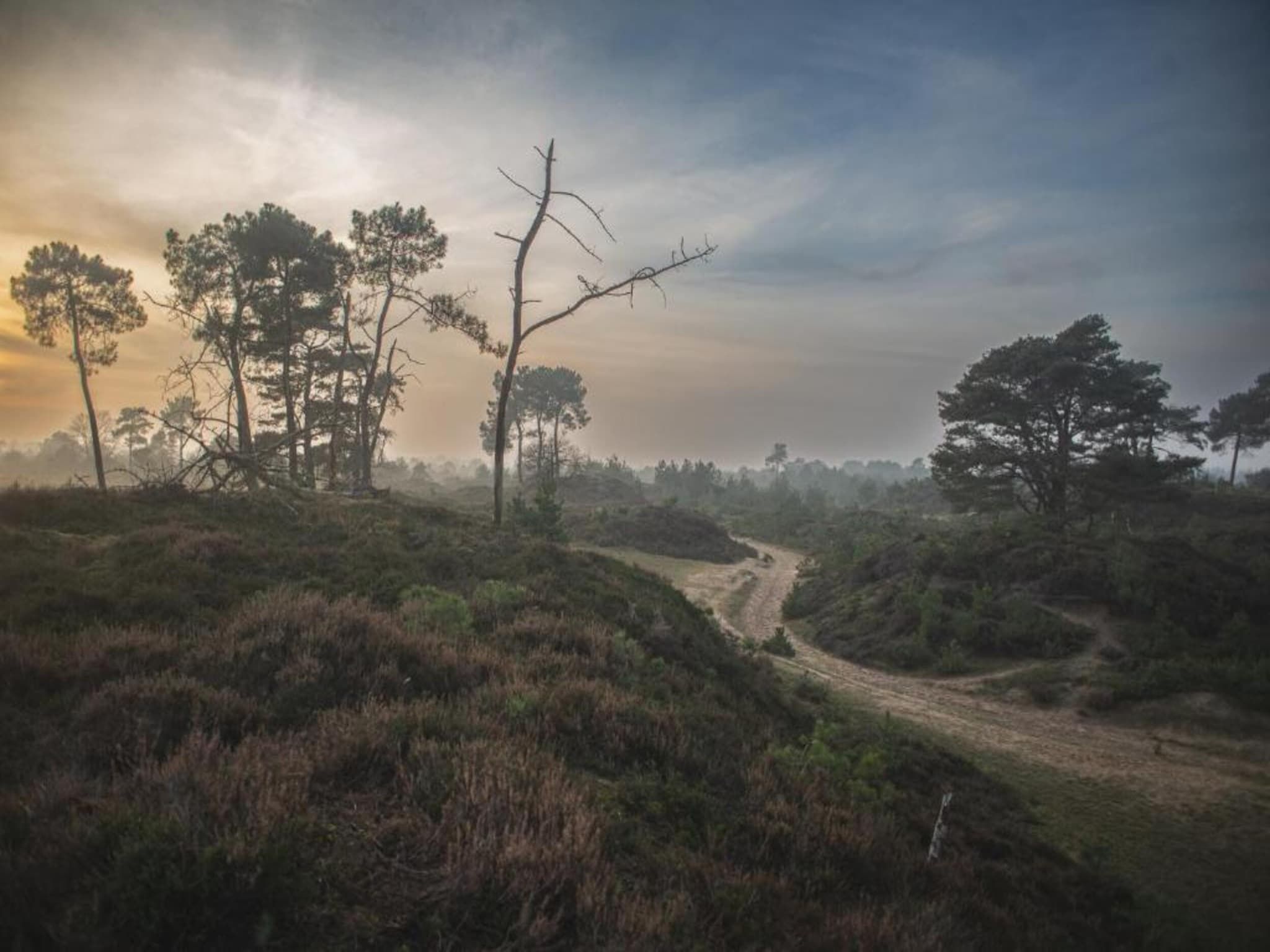 Singelhoeve in Fochteloo - Foto 33 van 40