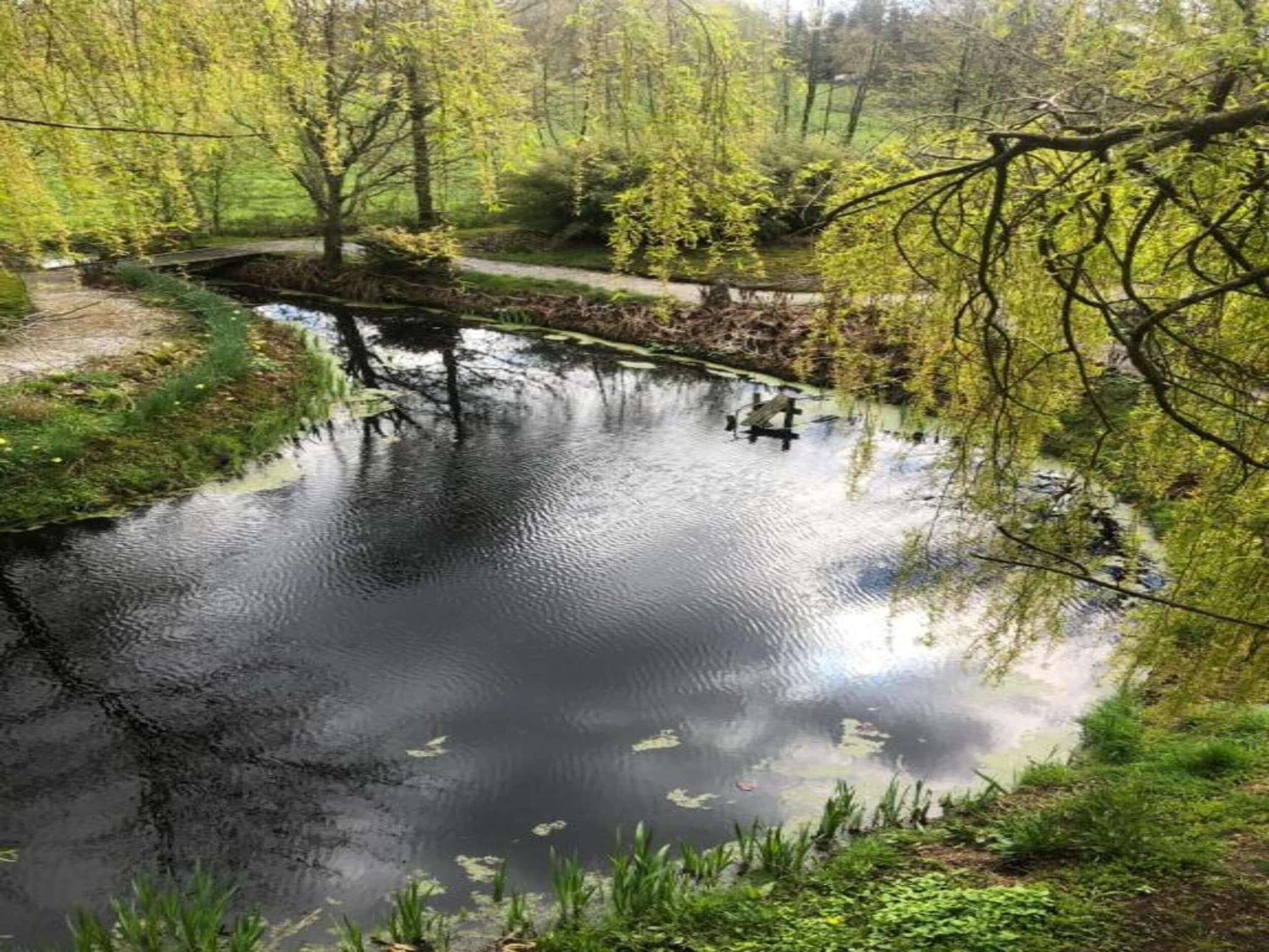 Singelhoeve in Fochteloo - Foto 34 van 40