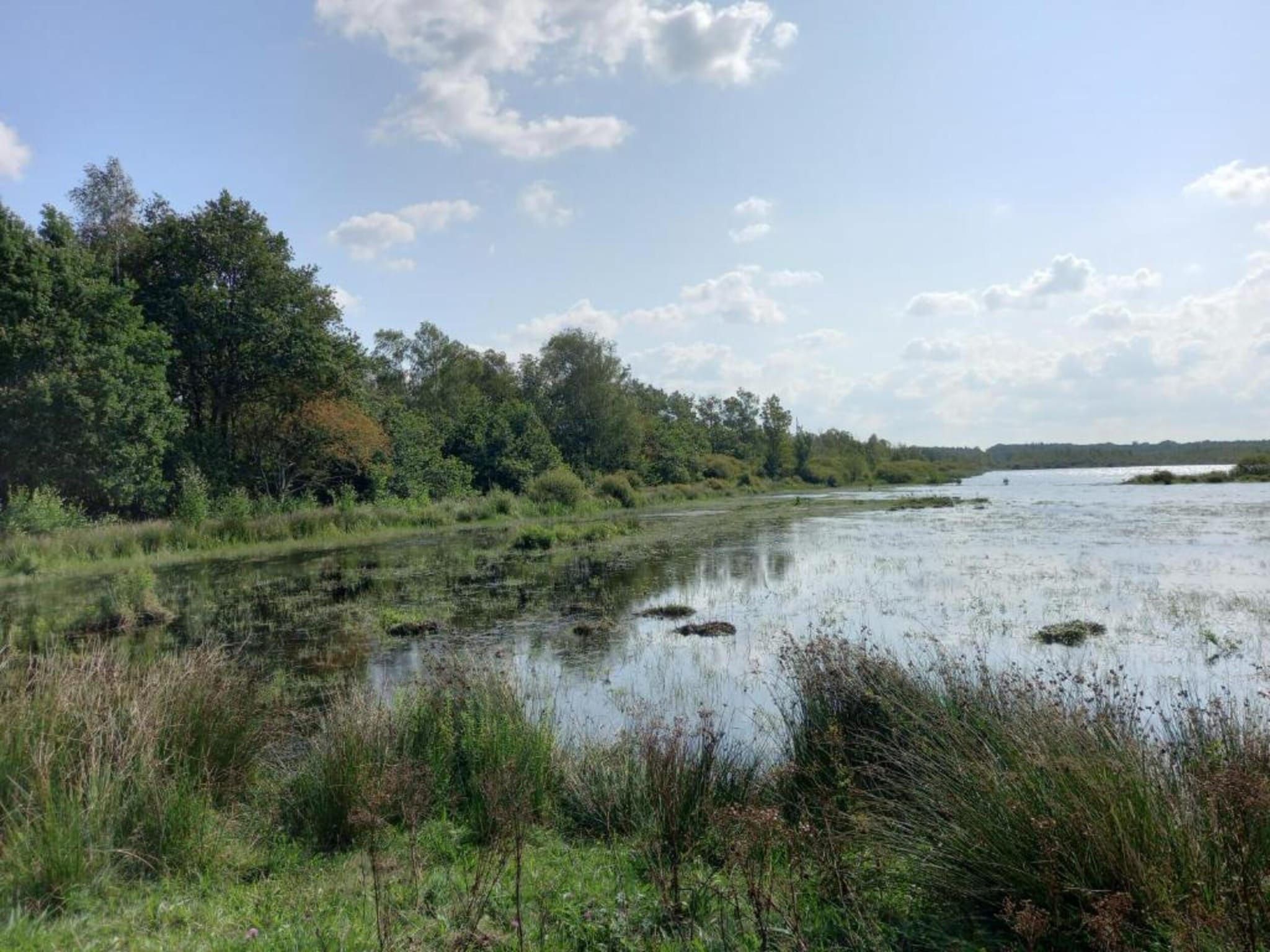 Singelhoeve in Fochteloo - Foto 38 van 40