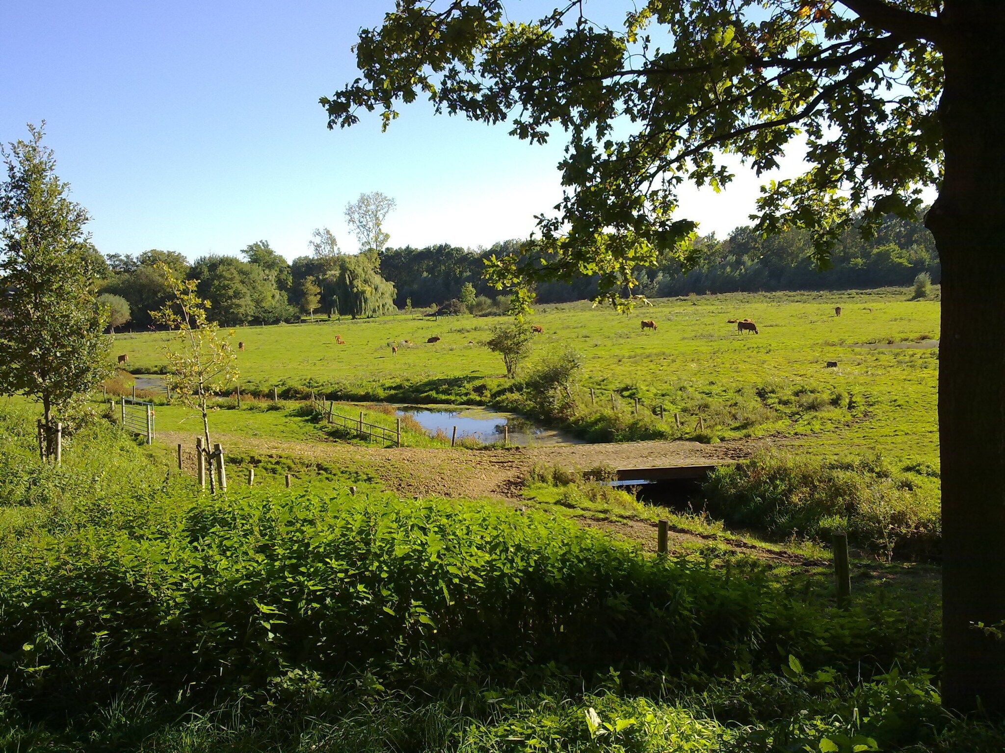 Maasheuvel in Roosteren - Foto 34 van 40