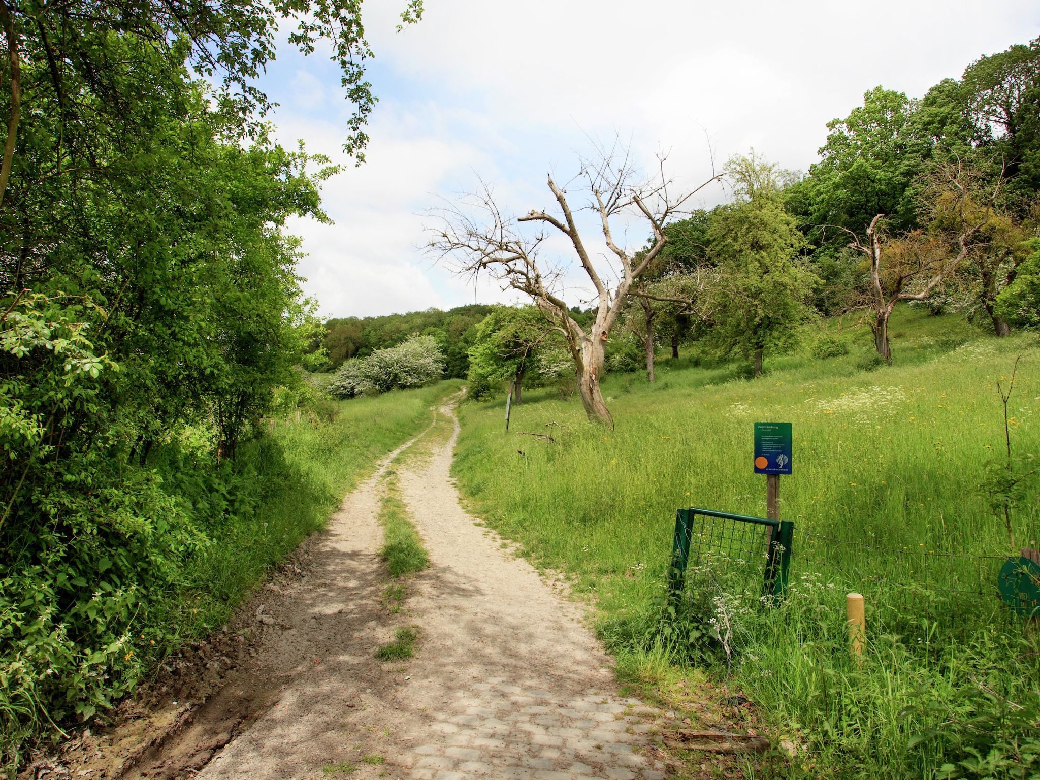 Hoeve A Gen Water - Botterblumke in Slenaken - Foto 26 van 40