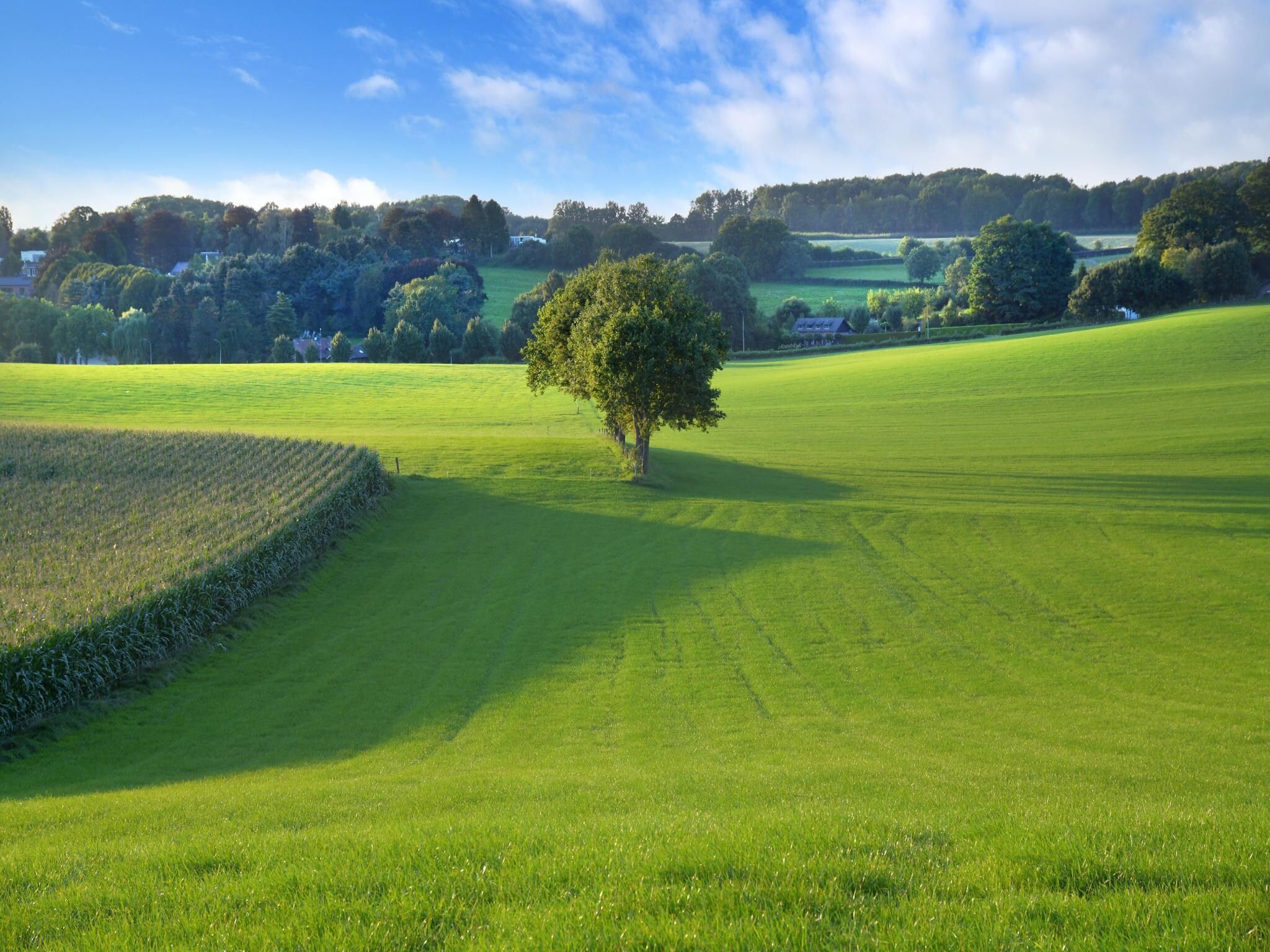 De omgeving van Hoeve A Gen Water - Botterblumke in Slenaken