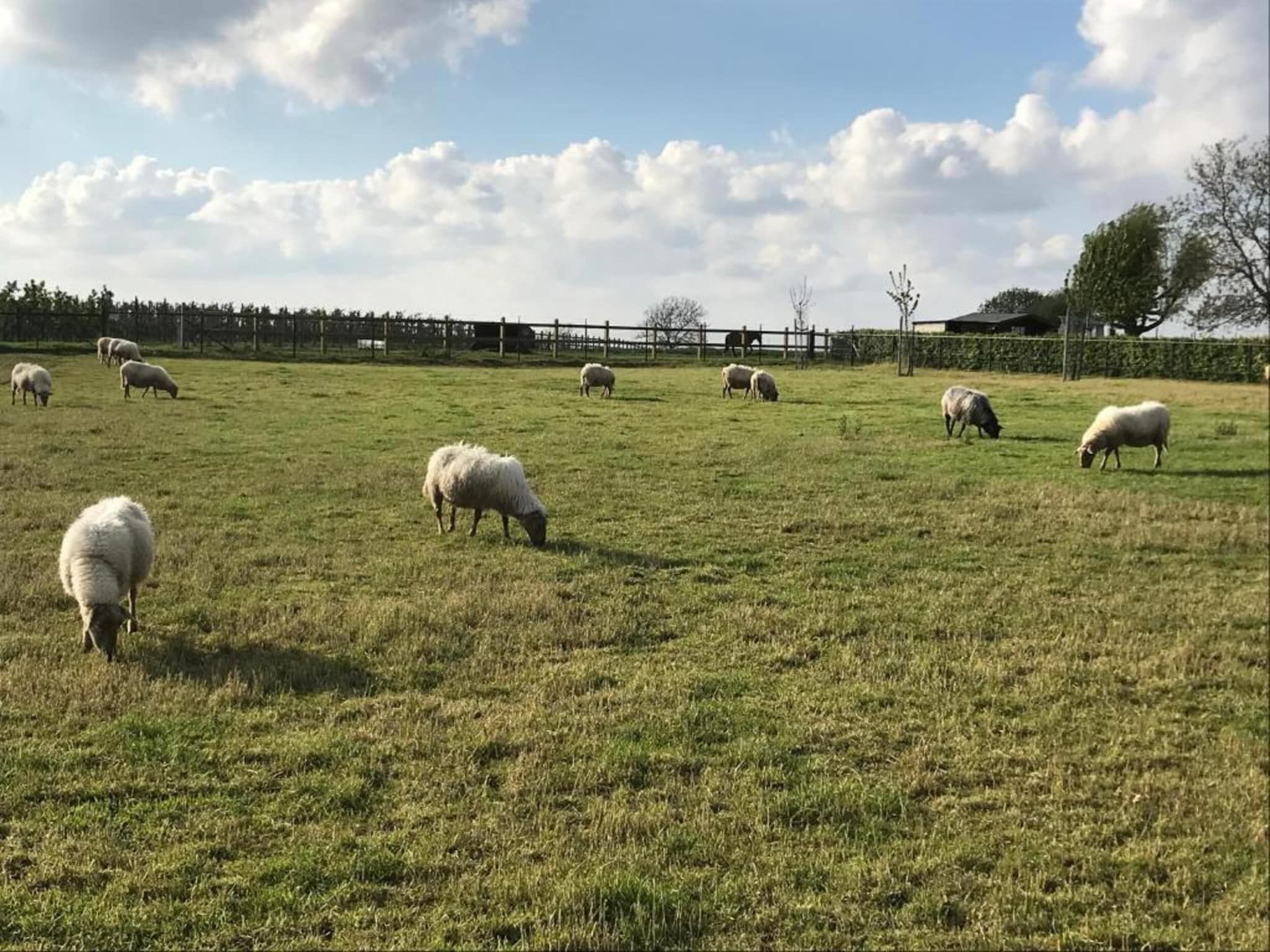 Hoeve A Gen Water - Botterblumke in Slenaken - Foto 36 van 40