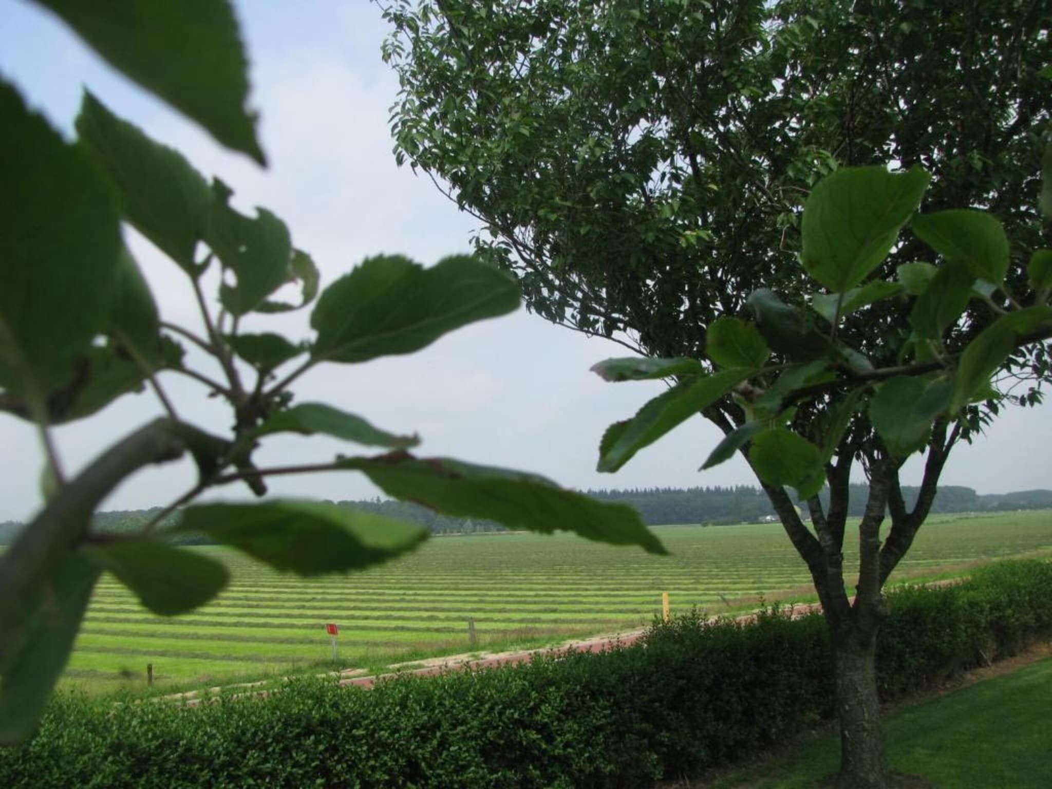 Buitenplaats Gerner 5 in Dalfsen - Foto 27 van 37