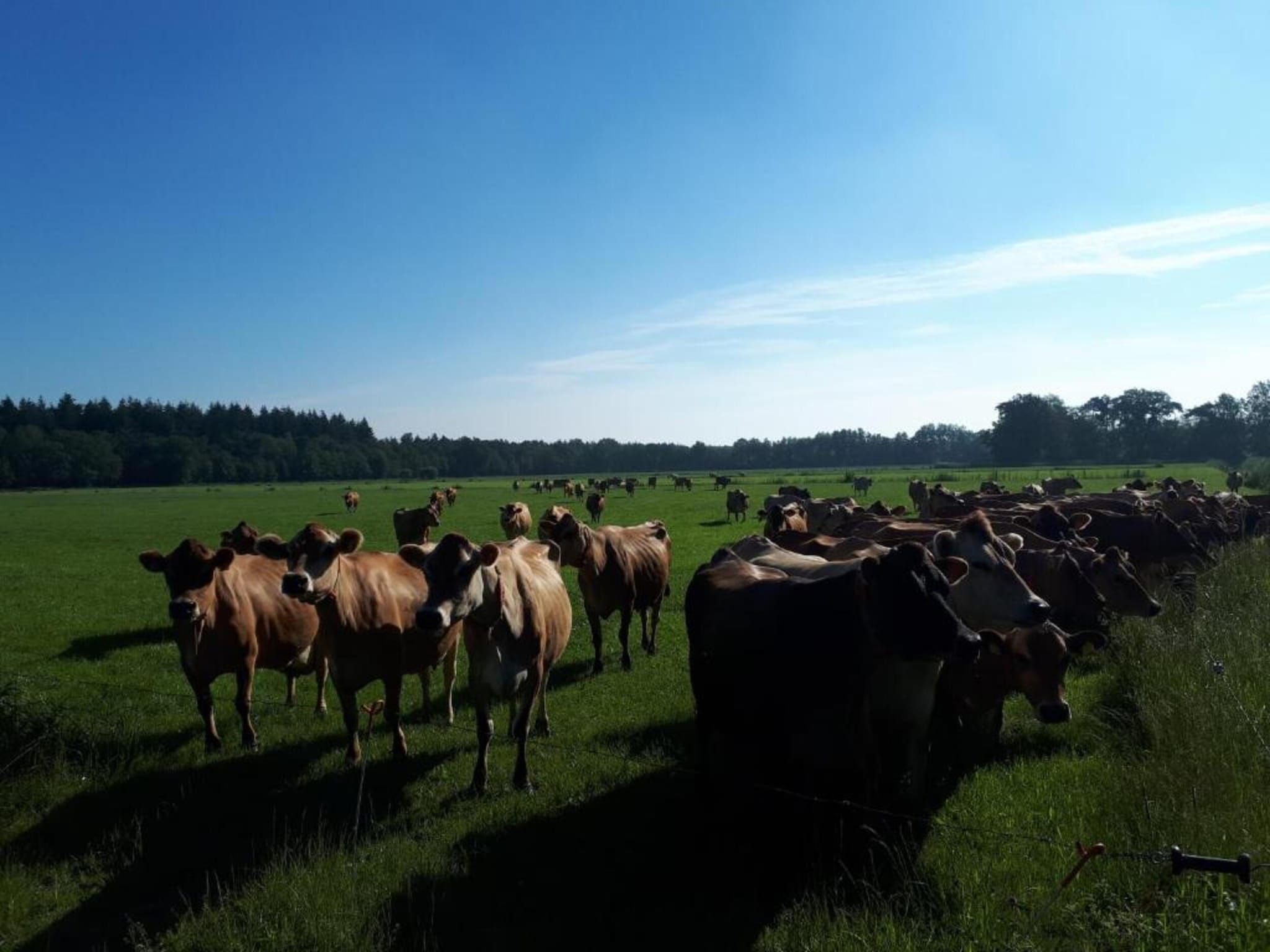 Buitenplaats Gerner 5 in Dalfsen - Foto 30 van 37