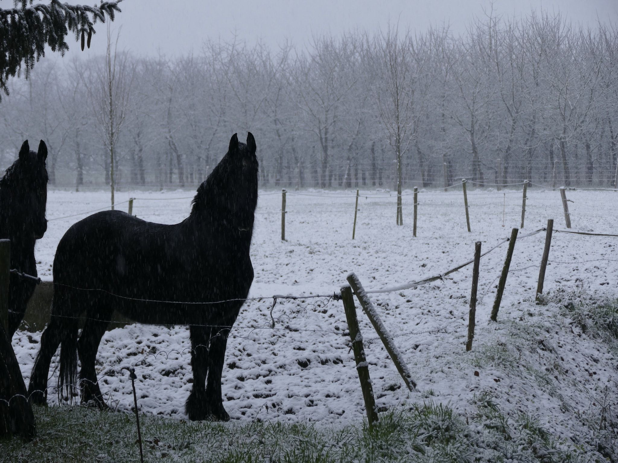 Meschermolen 9 in Mesch-Eijsden - Foto 33 van 40
