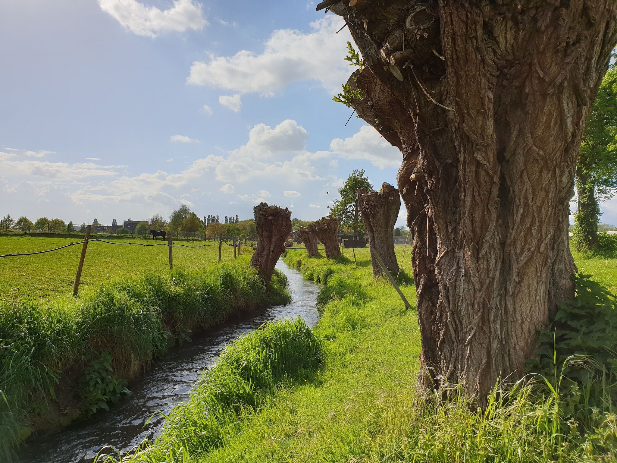 Meschermolen 9 in Mesch-Eijsden - Foto 24 van 40