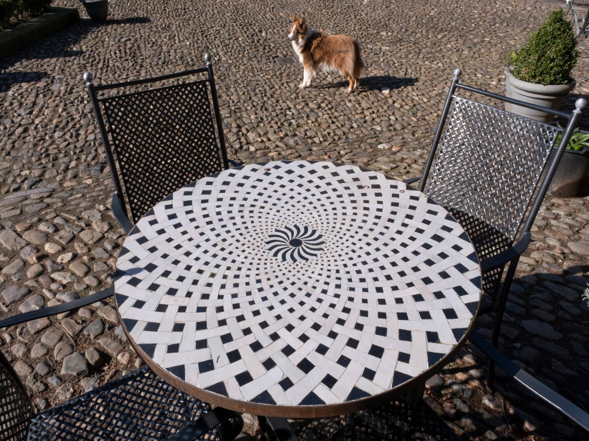 Sfeerbeeld van Meschermolen 9 in Mesch-Eijsden