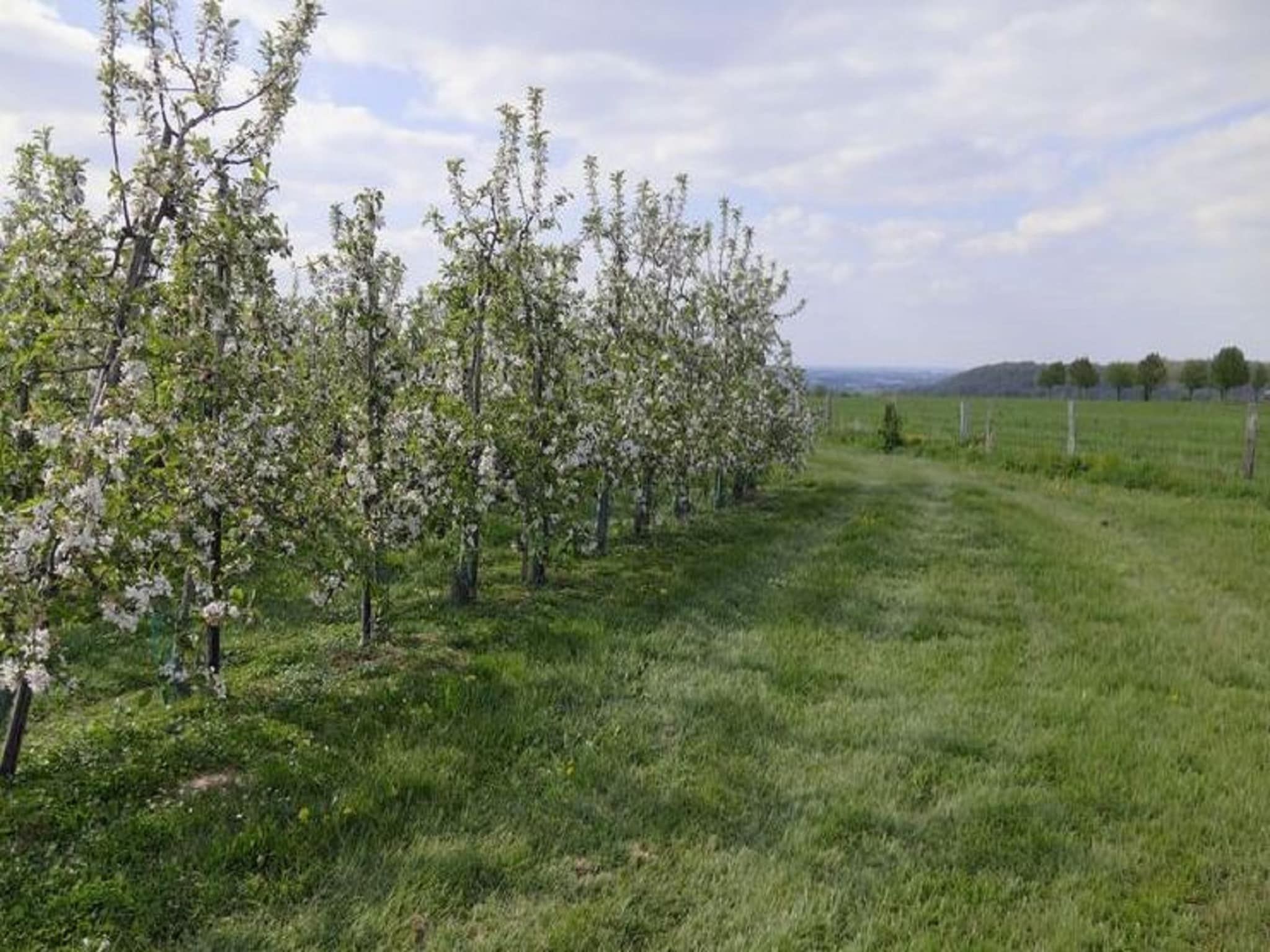 Meschermolen 9 in Mesch-Eijsden - Foto 32 van 40