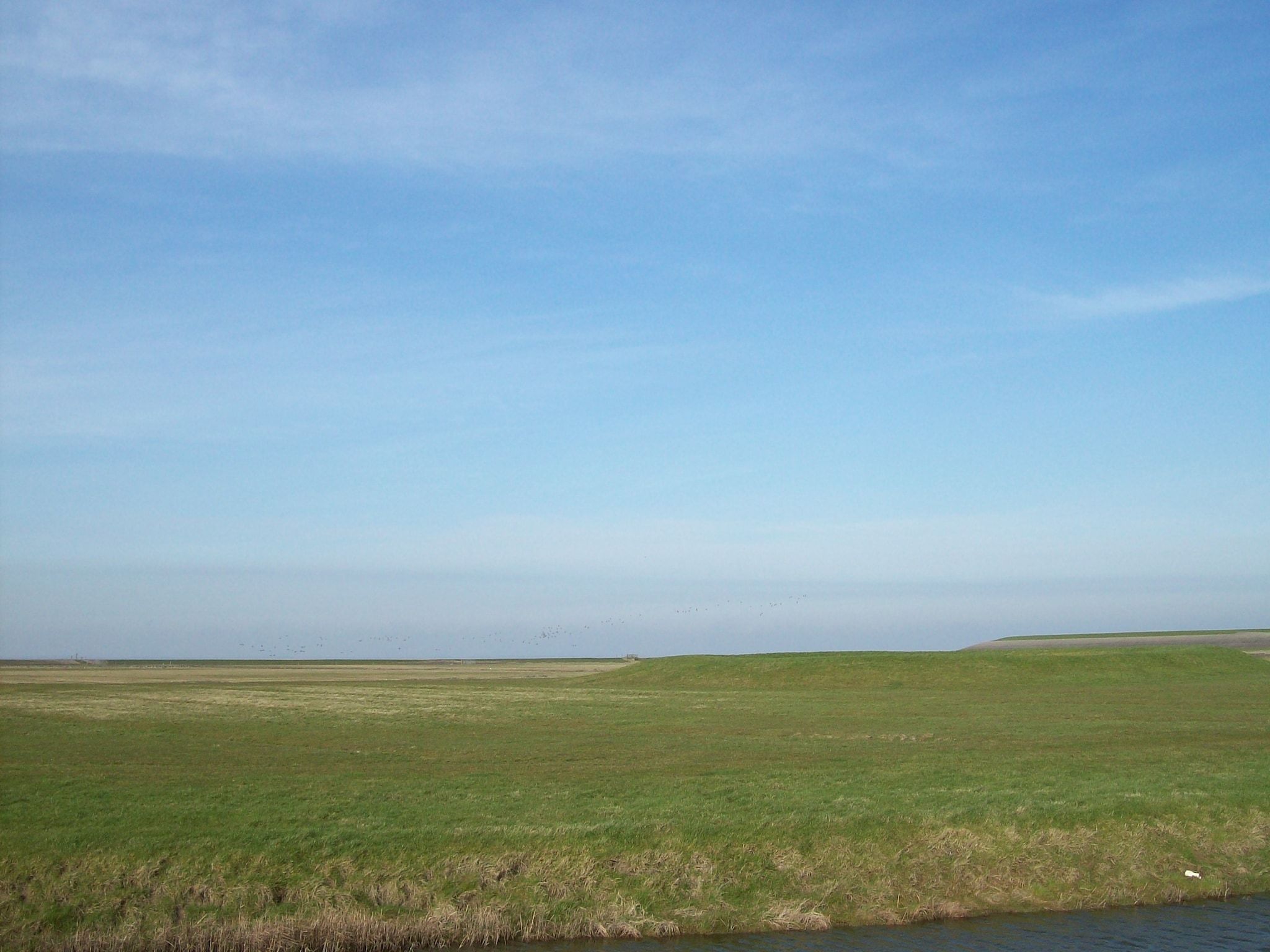 De Vakantie boerderij in Holwerd - Foto 37 van 40