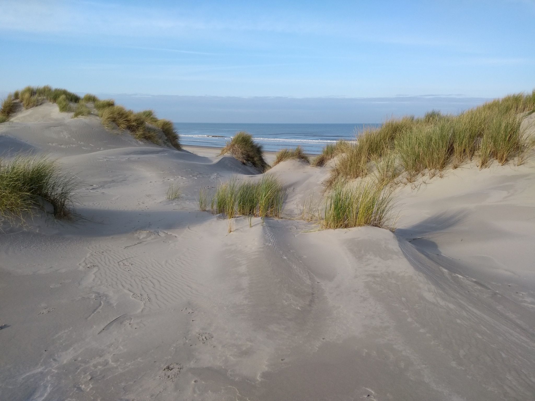 De omgeving van Zandlust in Ameland