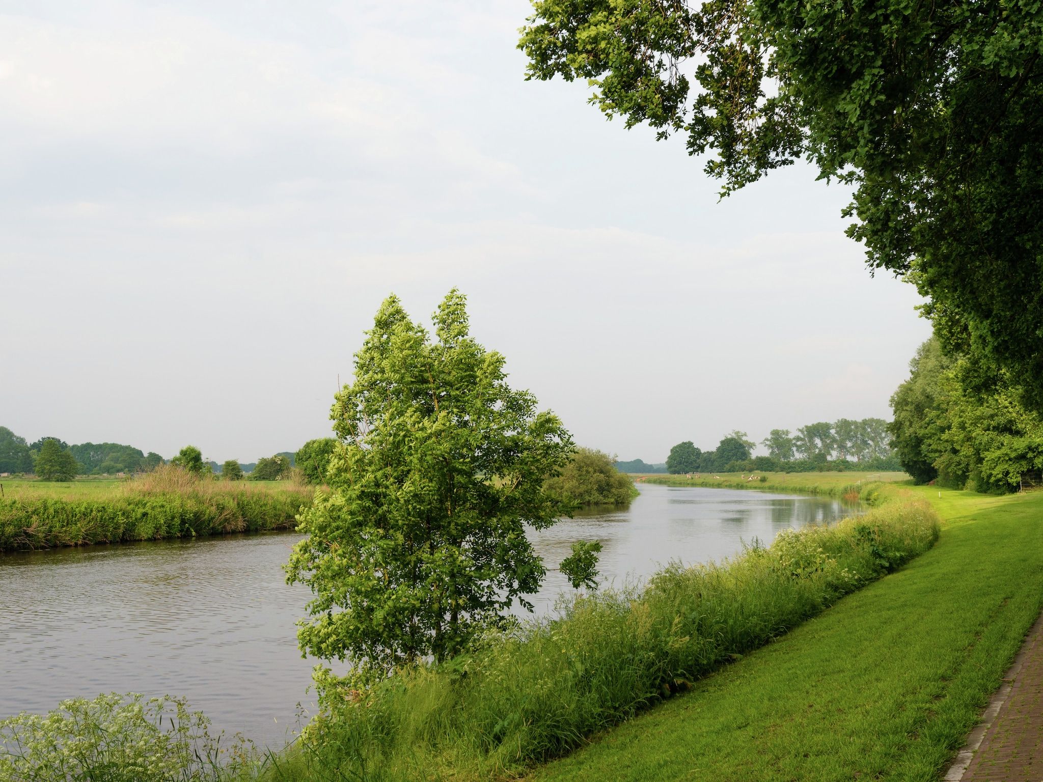 De omgeving van Bunderbos in Ommen