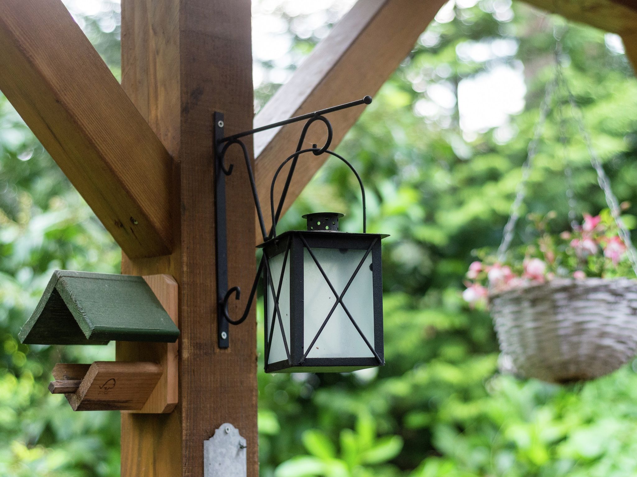 Sfeerbeeld van Bunderbos in Ommen