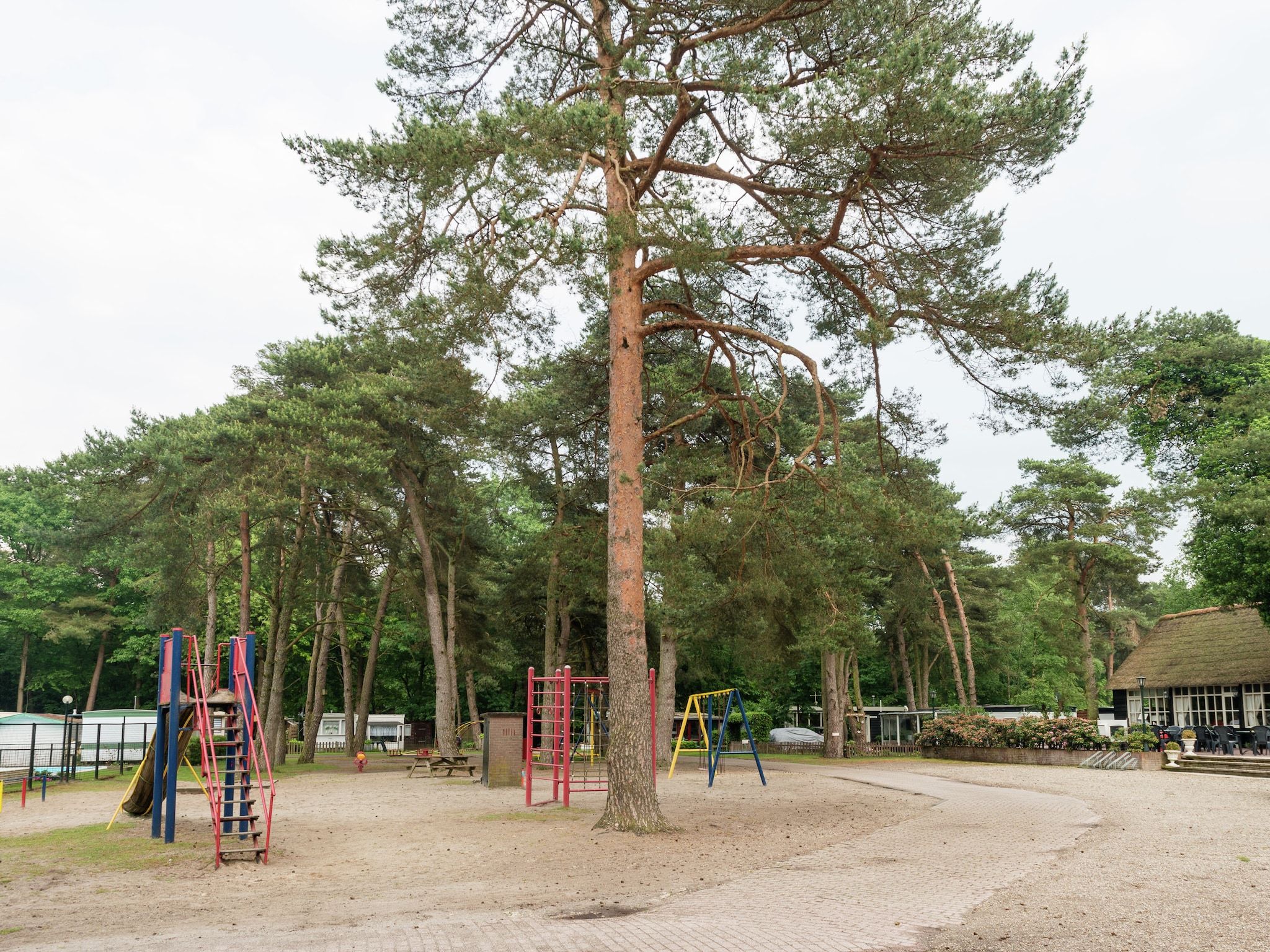 Bunderbos in Ommen - Foto 24 van 36