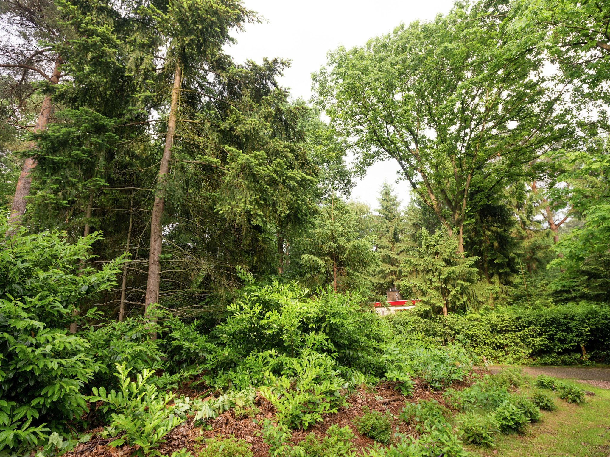 Bunderbos in Ommen - Foto 25 van 36