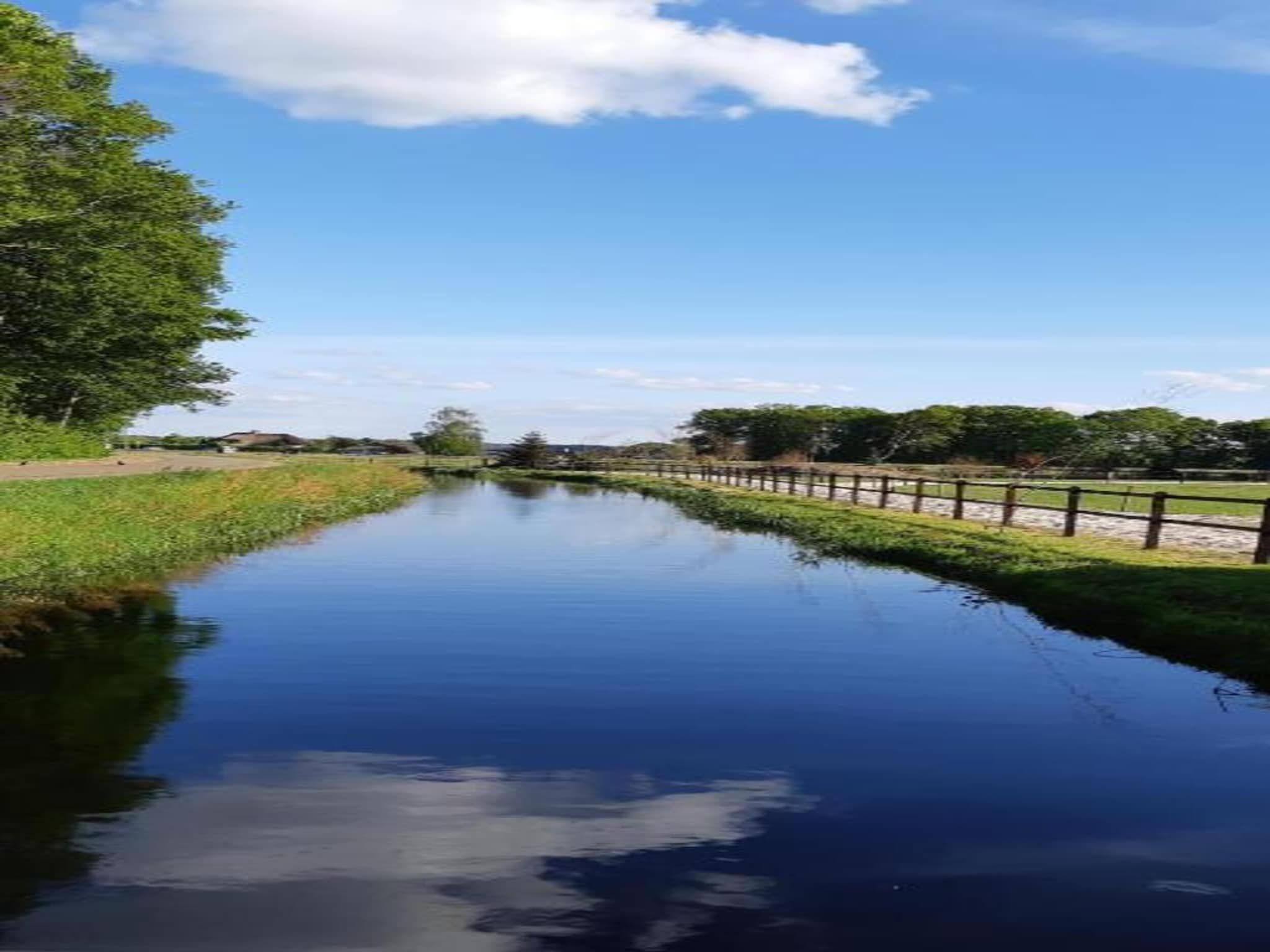 Bunderbos in Ommen - Foto 28 van 36