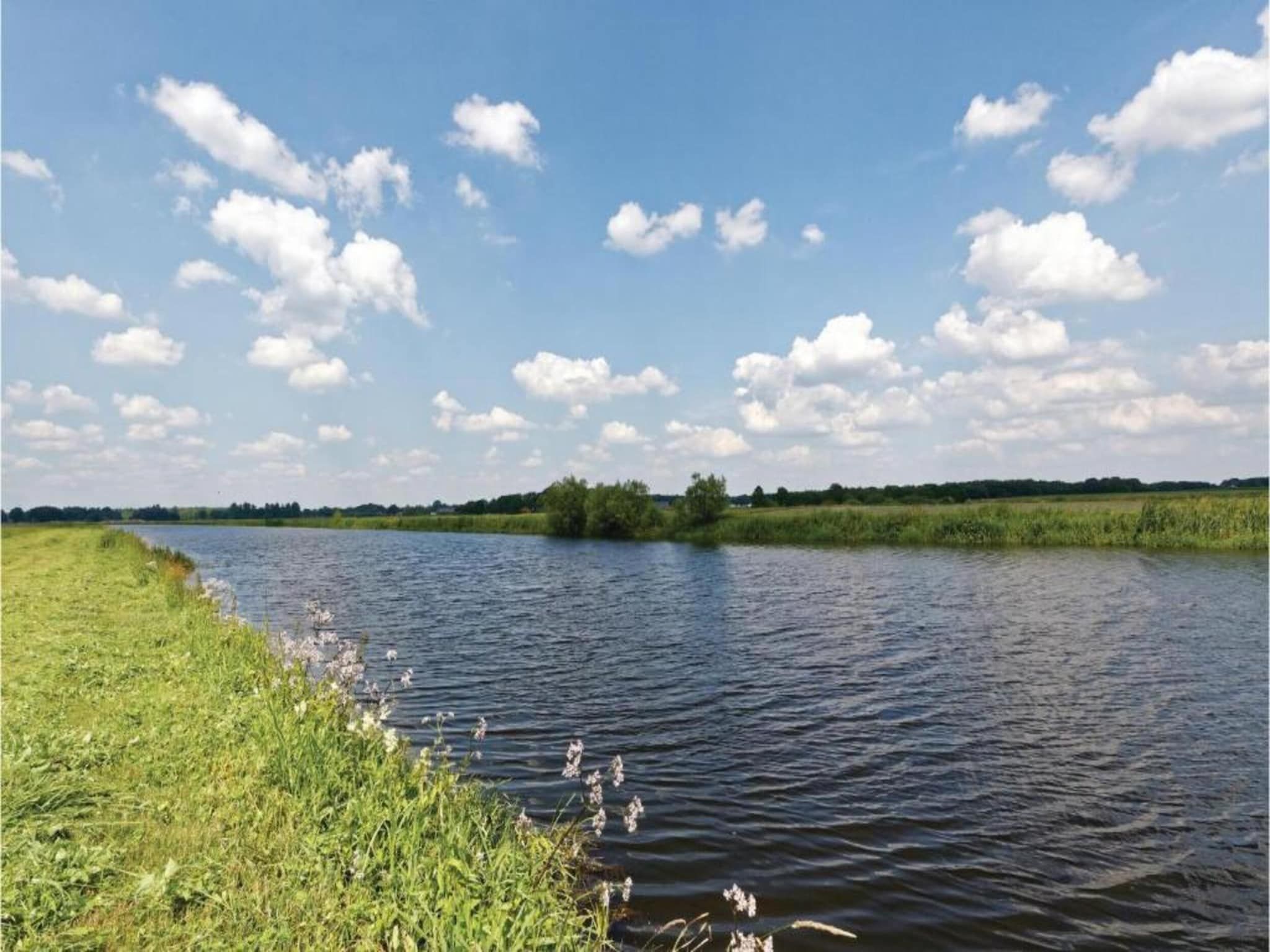 Bunderbos in Ommen - Foto 31 van 36