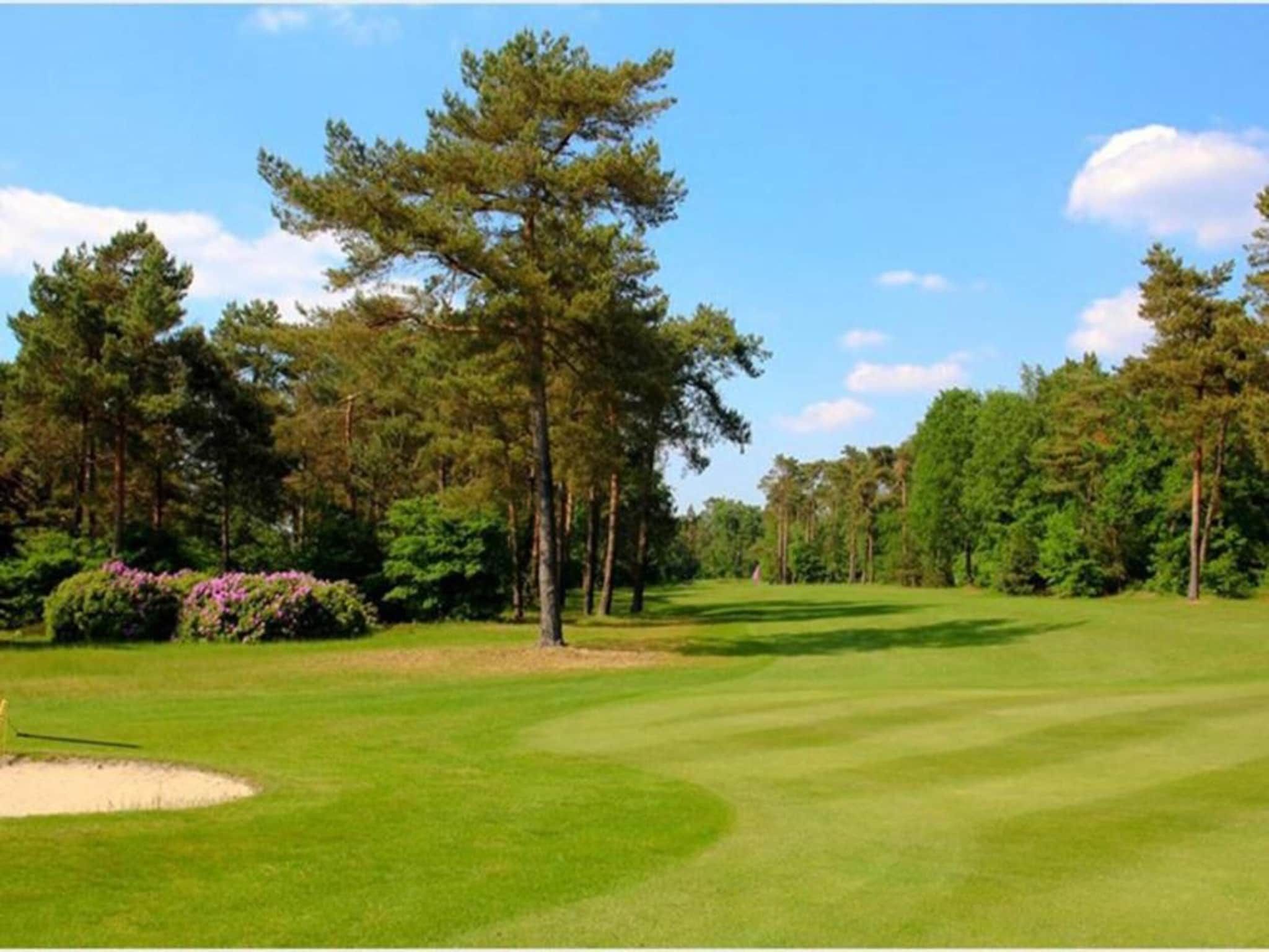 Bunderbos in Ommen - Foto 27 van 36