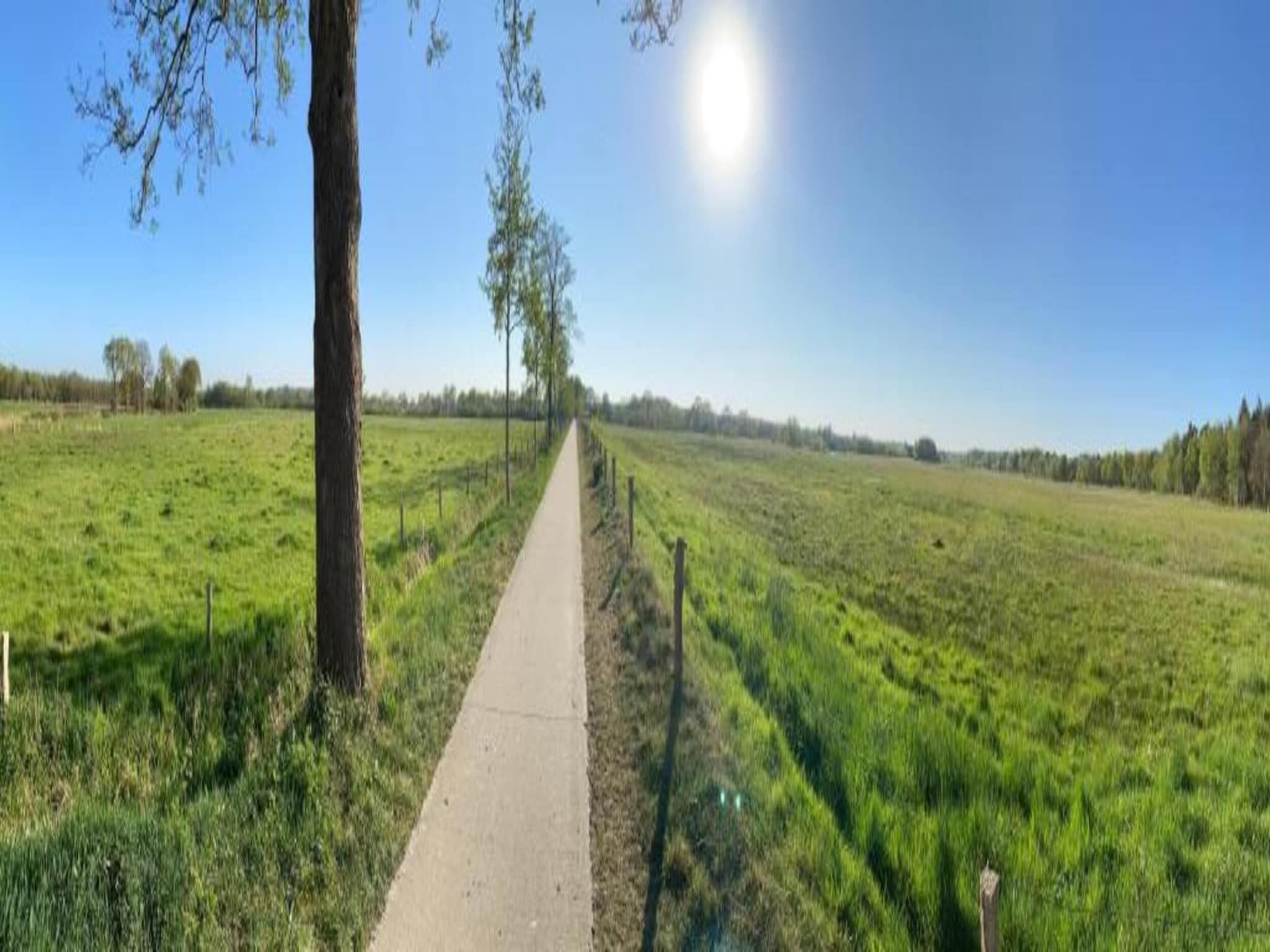 Bunderbos in Ommen - Foto 34 van 36