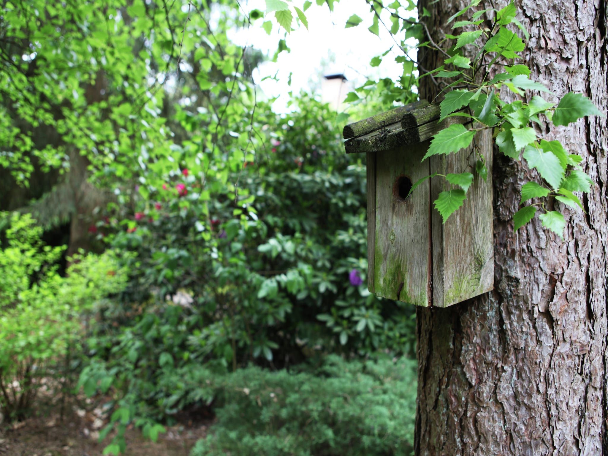 De tuin van De grove Den in Doornspijk