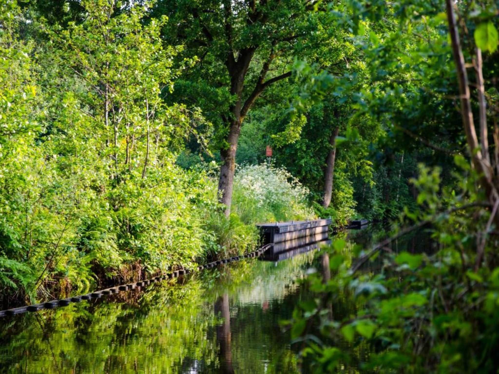 De omgeving van Huize Lewis in Balk