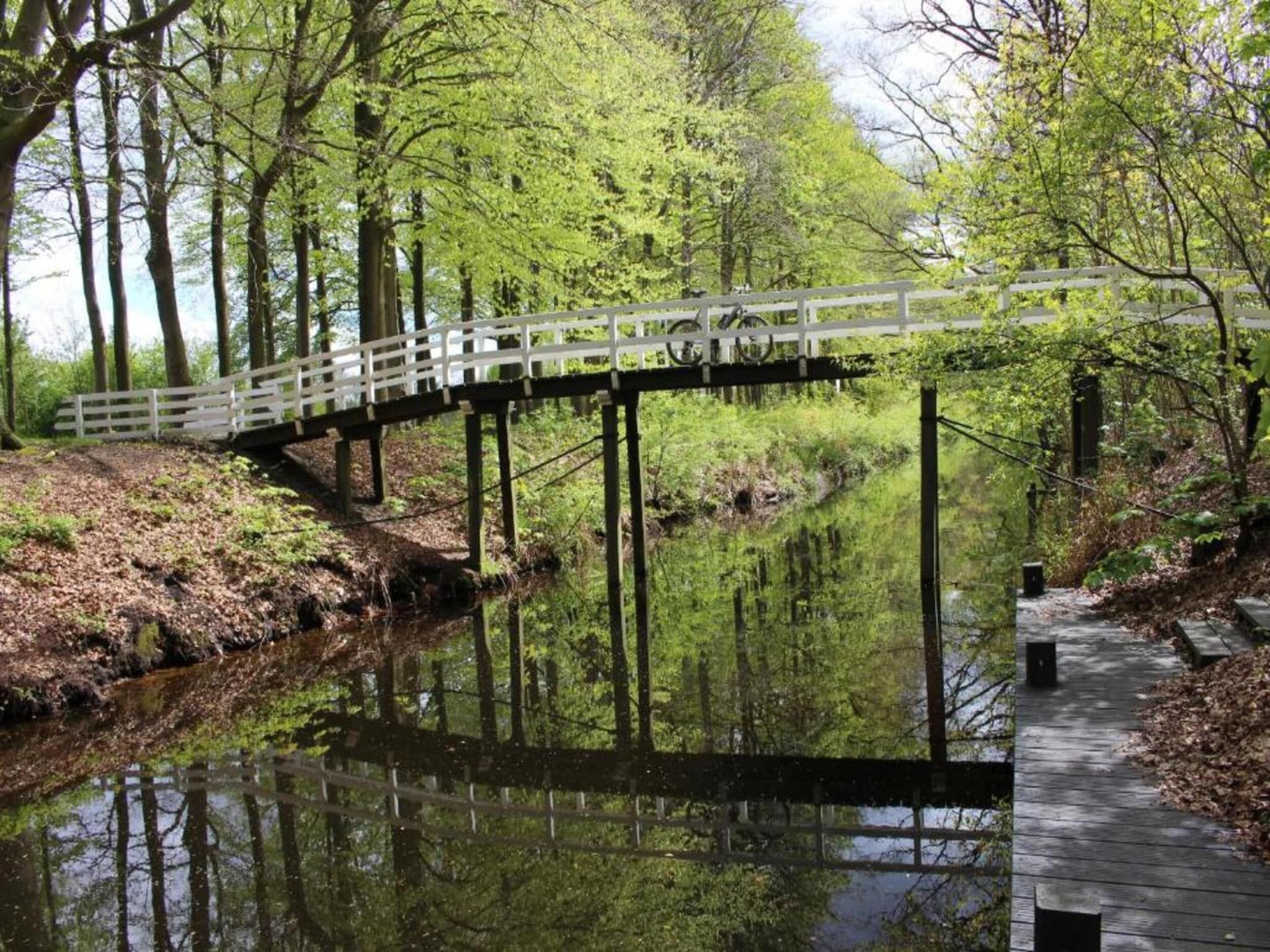 De omgeving van Huize Lewis in Balk