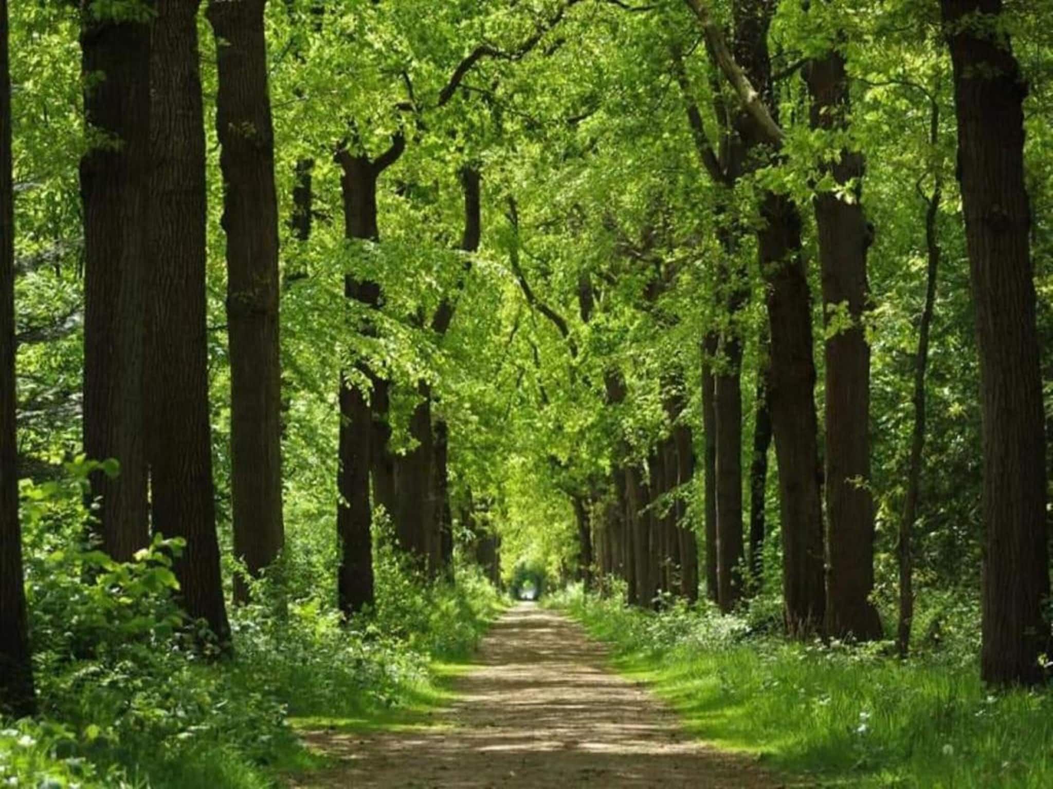 De omgeving van Huize Lewis in Balk