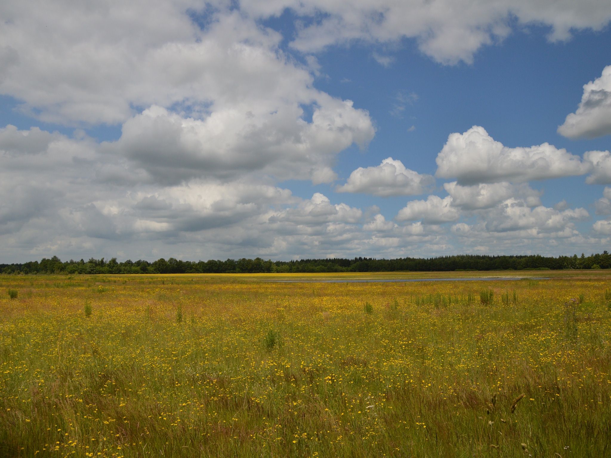 Landhuis de Linde in Nijensleek - Foto 35 van 41