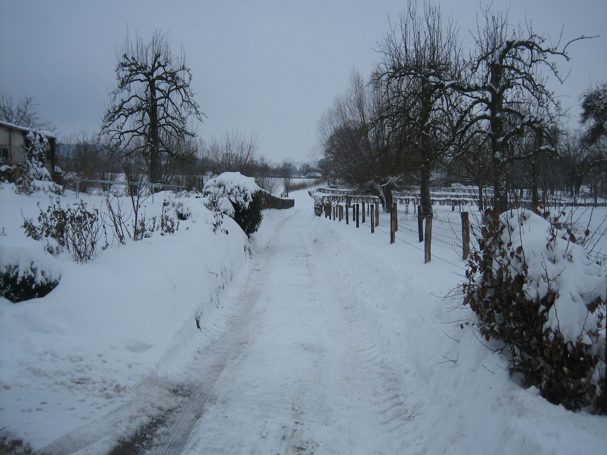 i gen Roemel in Epen - Foto 37 van 38