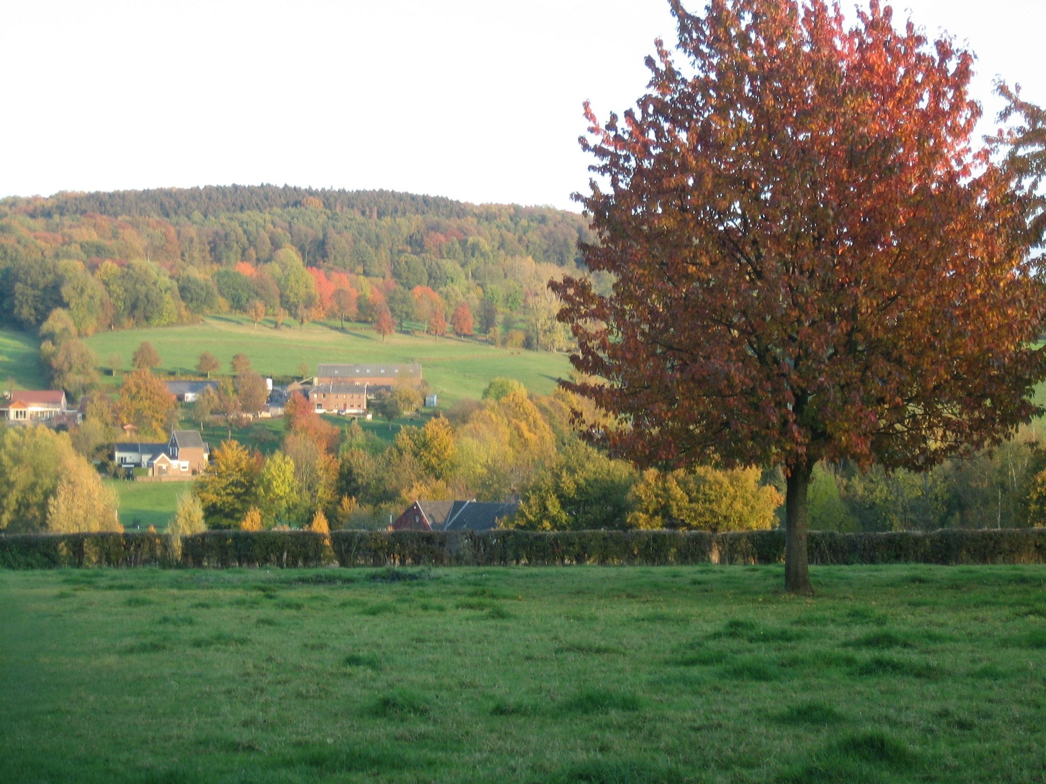 De tuin van i gen Roemel in Epen