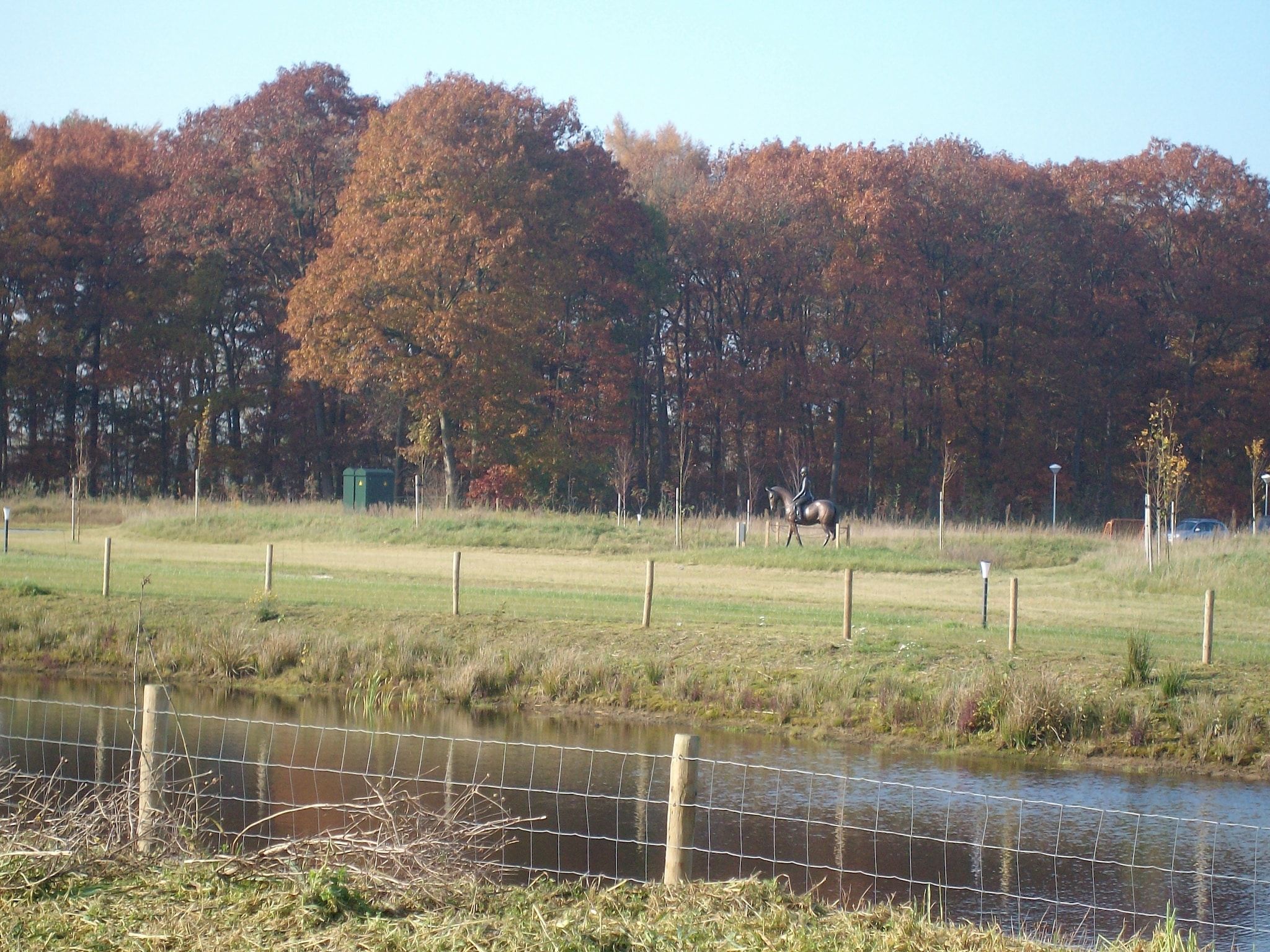 De tuin van Vakantiepark Horsetellerie 1 in Hardenberg (rheezerveen)