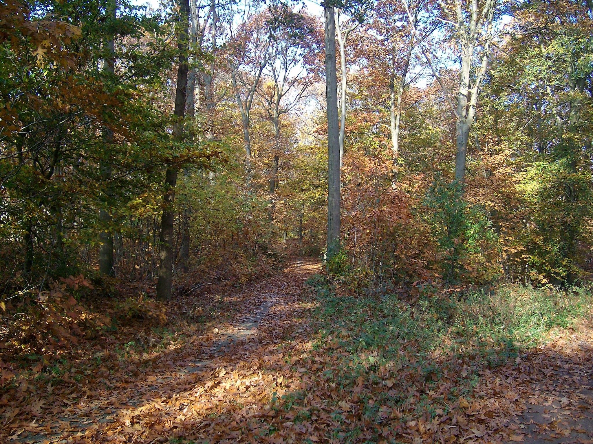 Vakantiepark Horsetellerie 1 in Hardenberg (rheezerveen) - Foto 31 van 42