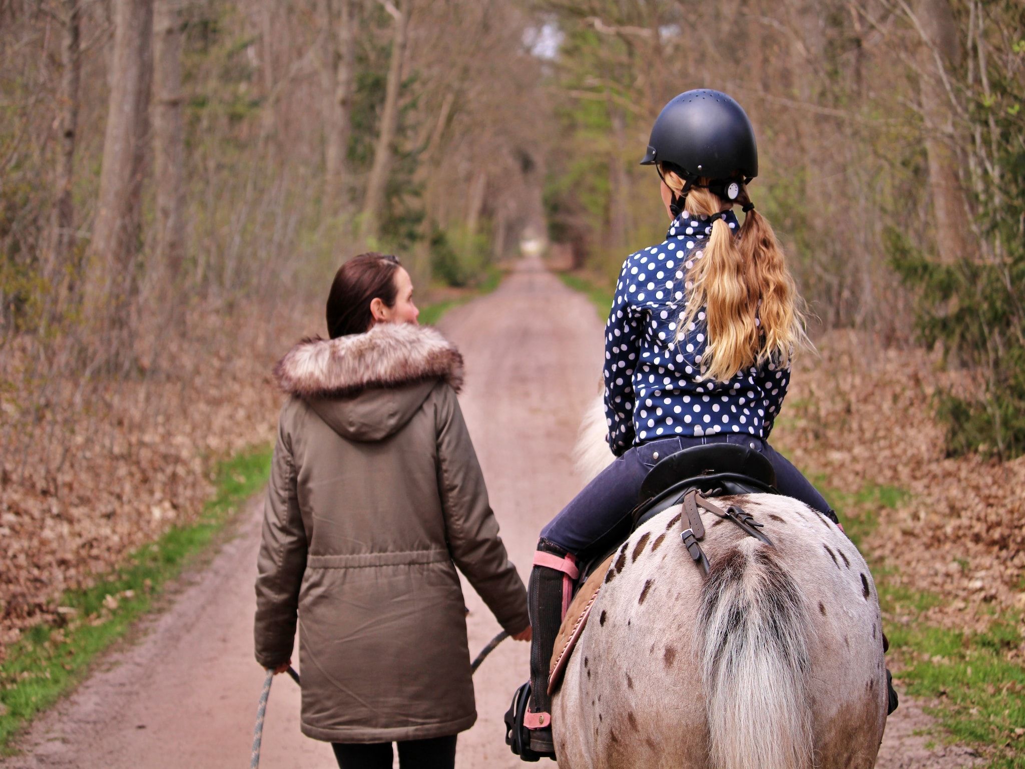 Parkfaciliteiten bij Vakantiepark Horsetellerie 1 in Hardenberg (rheezerveen)
