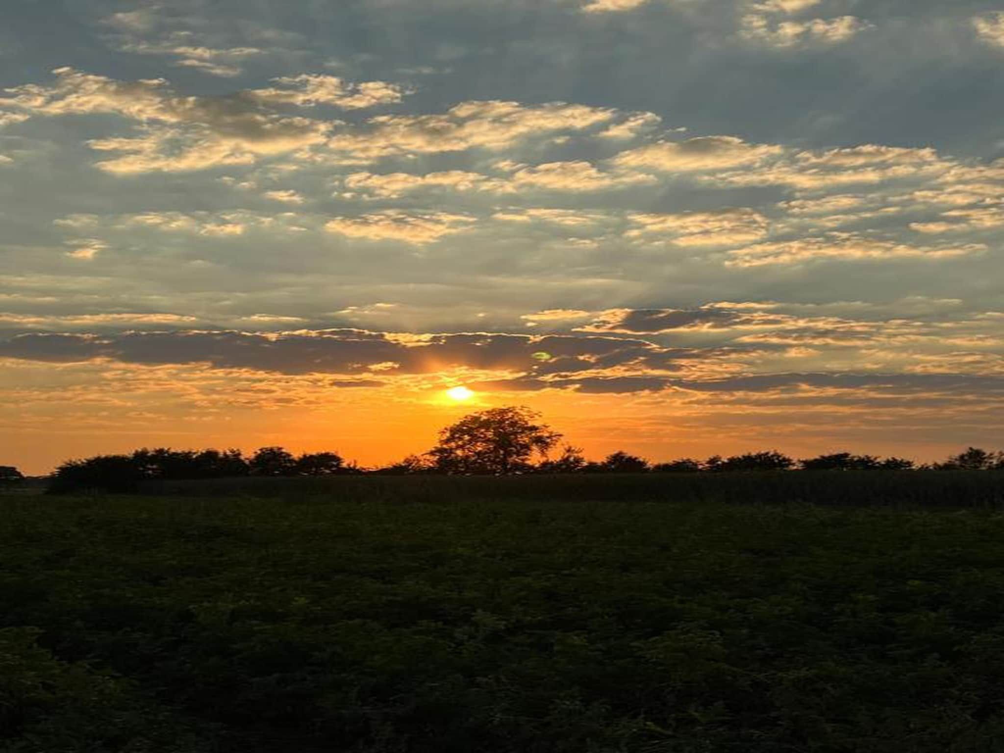 Vakantiepark Horsetellerie 1 in Hardenberg (rheezerveen) - Foto 41 van 42